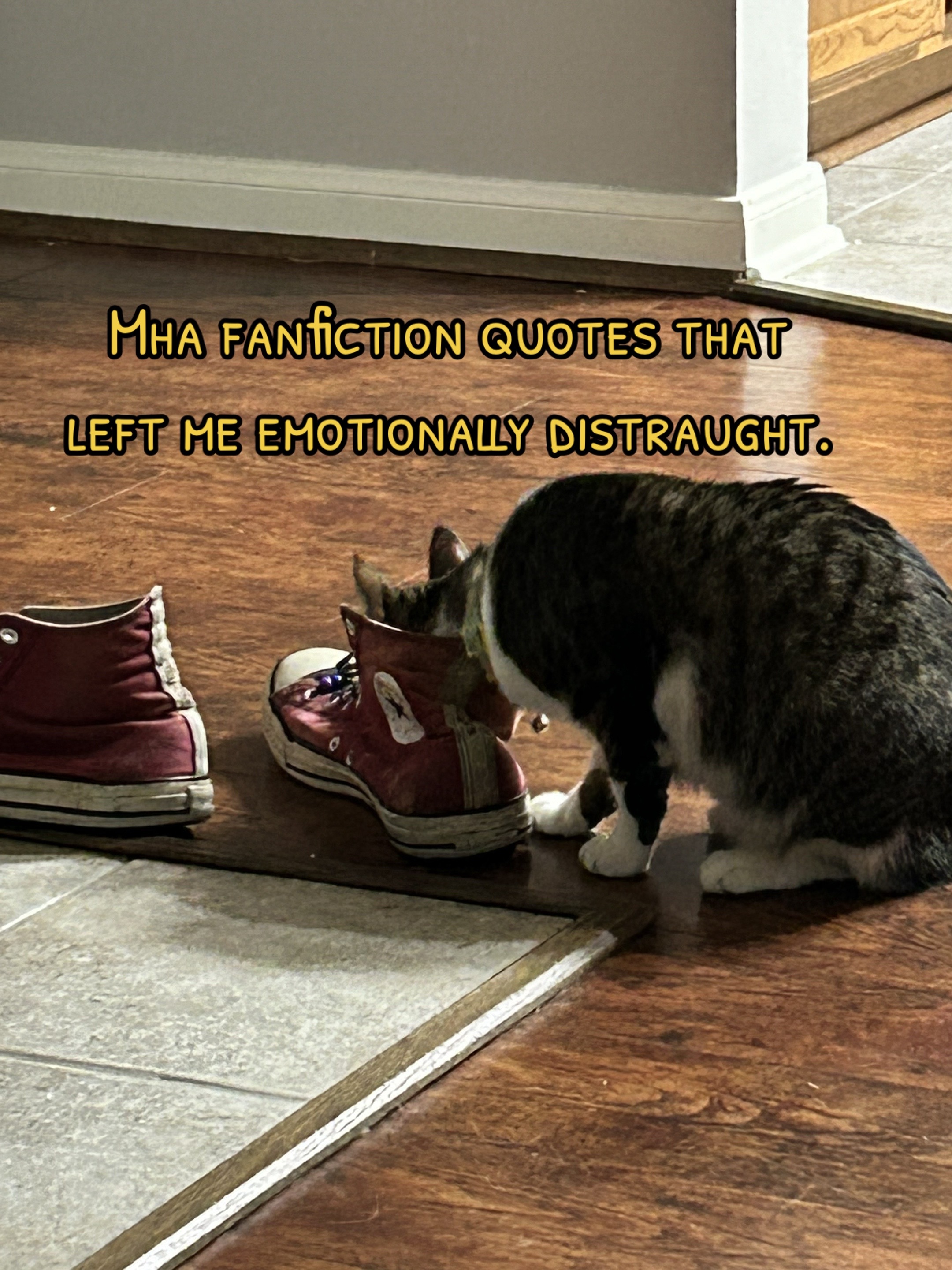 @🐞Macsen🪲
