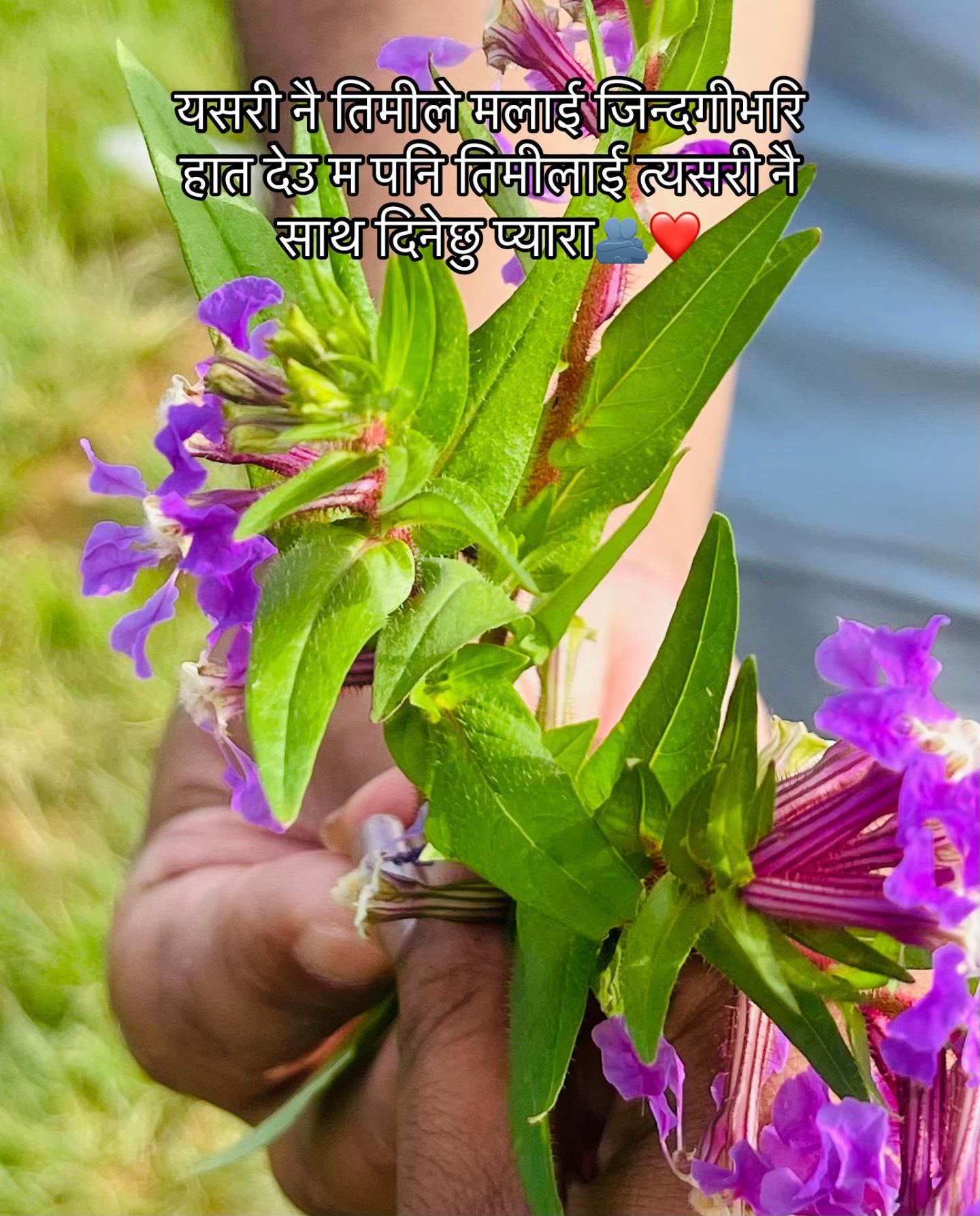 @prence rani....💫⭐️🌹