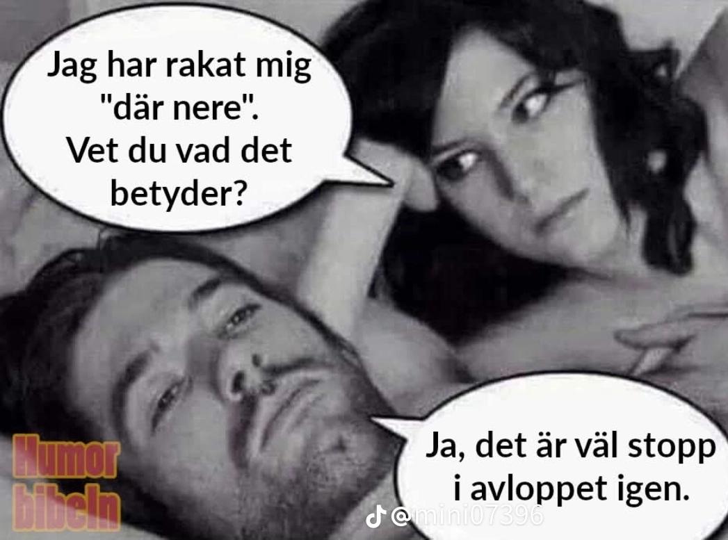 @🐱⚡️Krille #Team Förrädarna