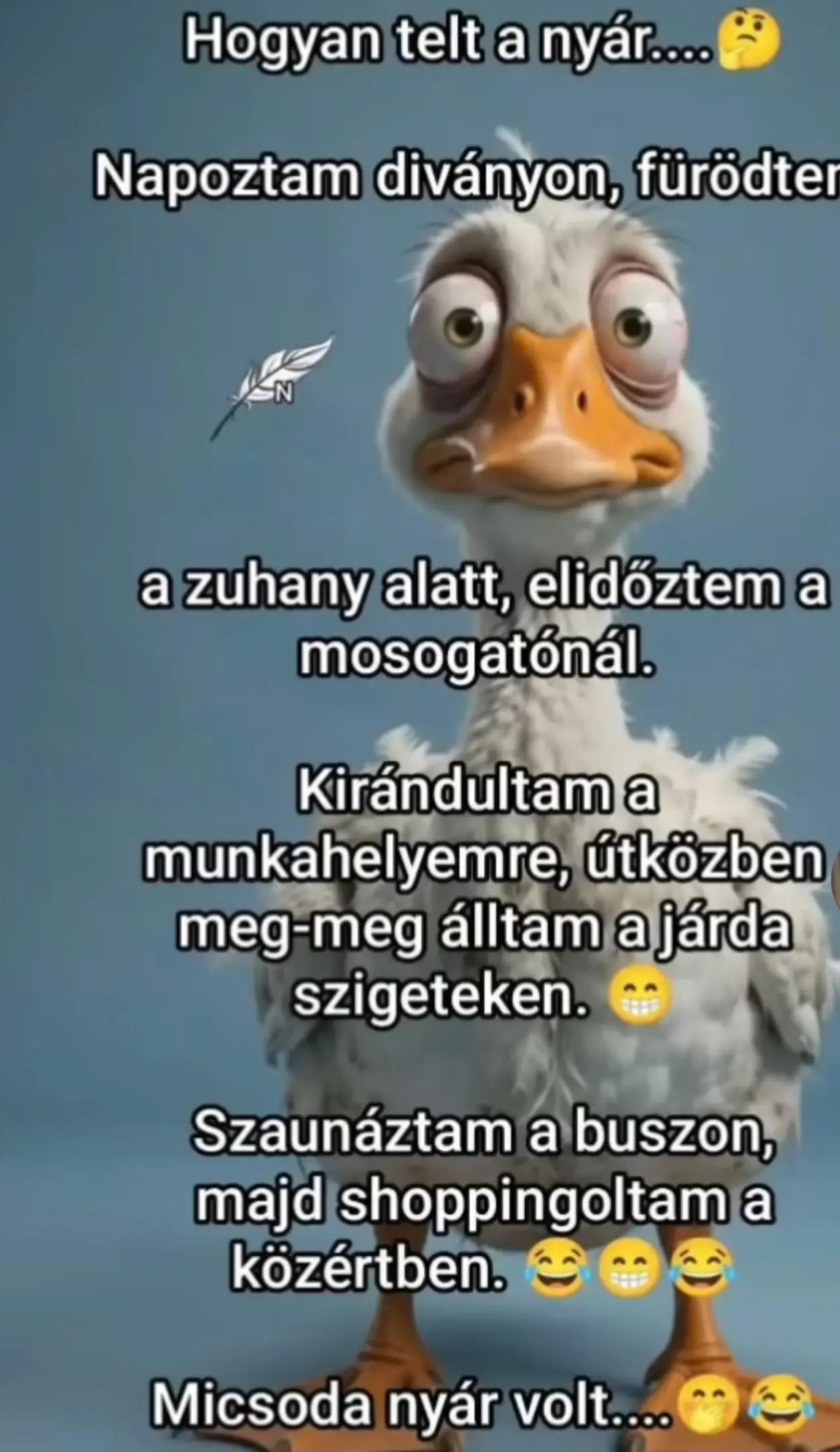 @Katalin Pinter