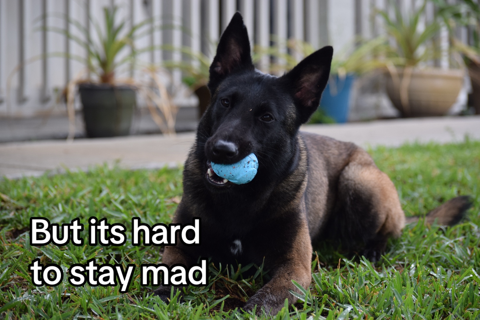 @The Service Flower