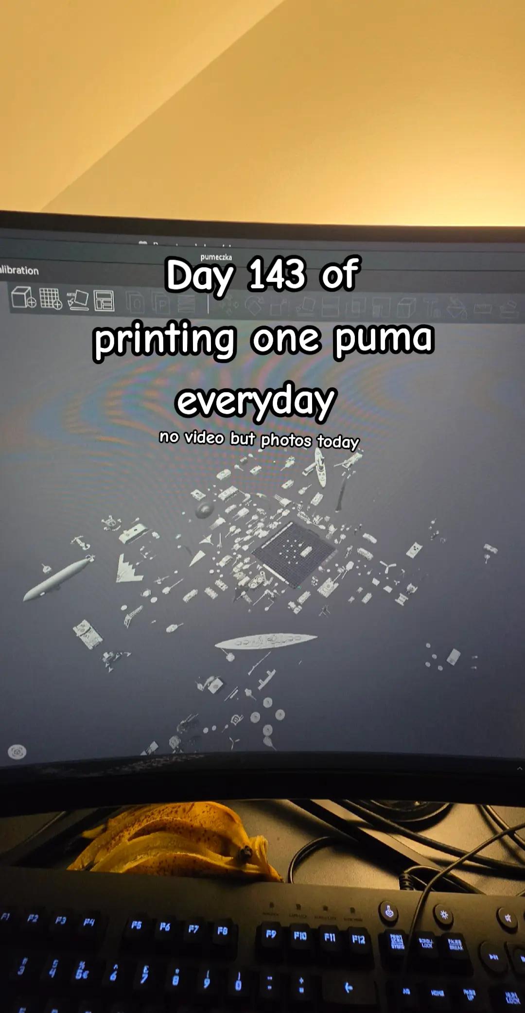 @Pumaprinter