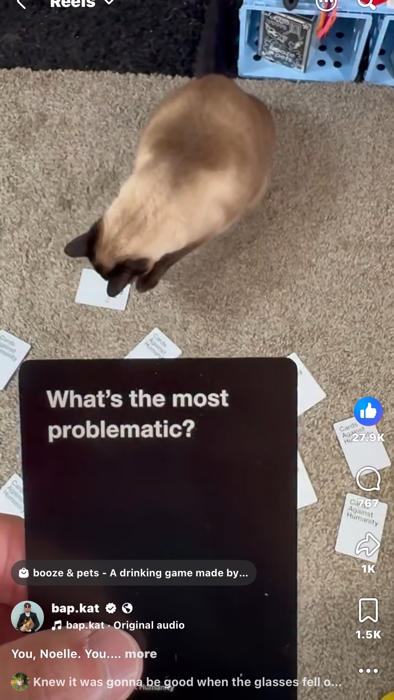 @E 🐝📚🐈🐾