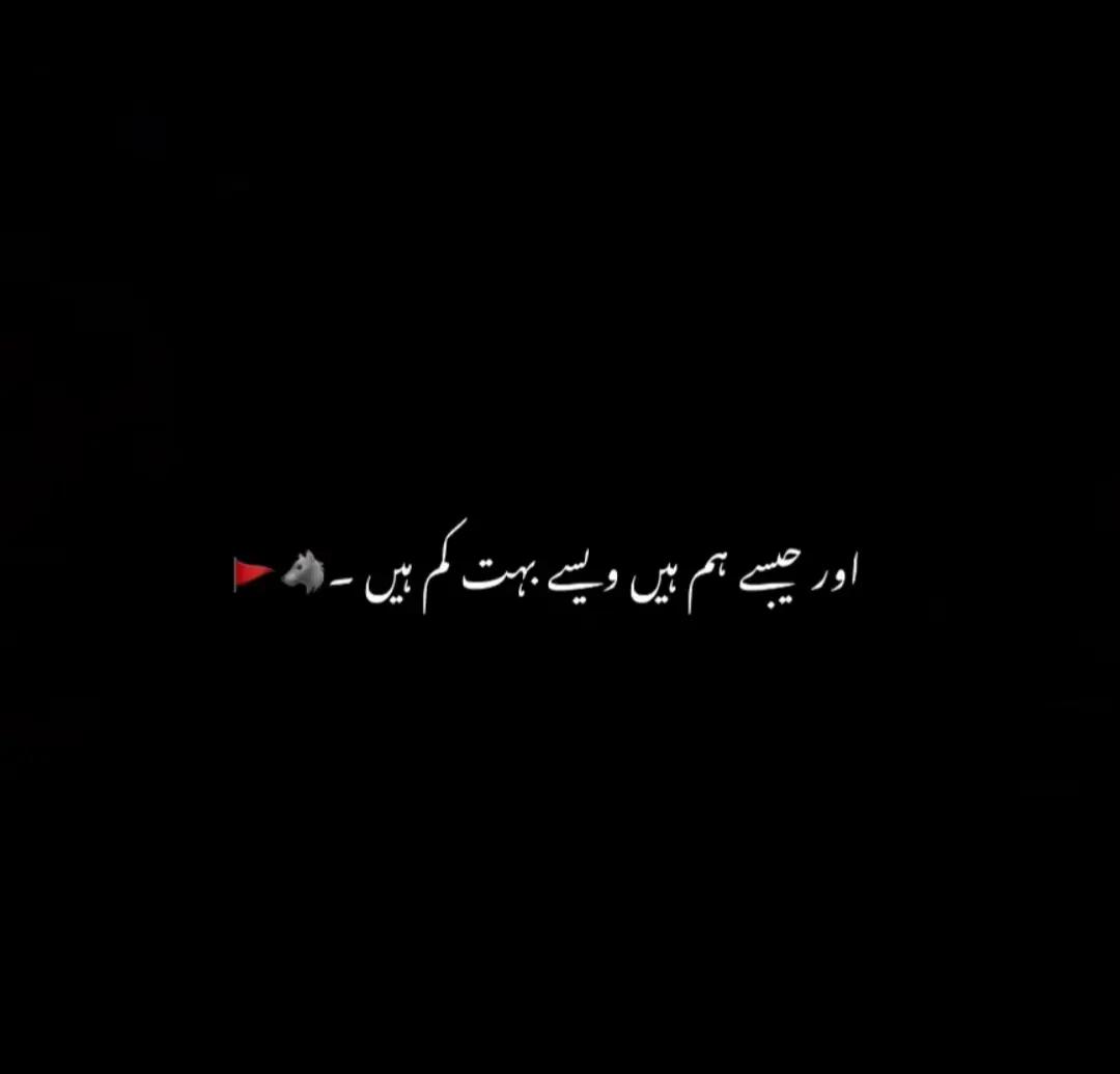 @😎 ملک کہتے ہیں 804 🦅