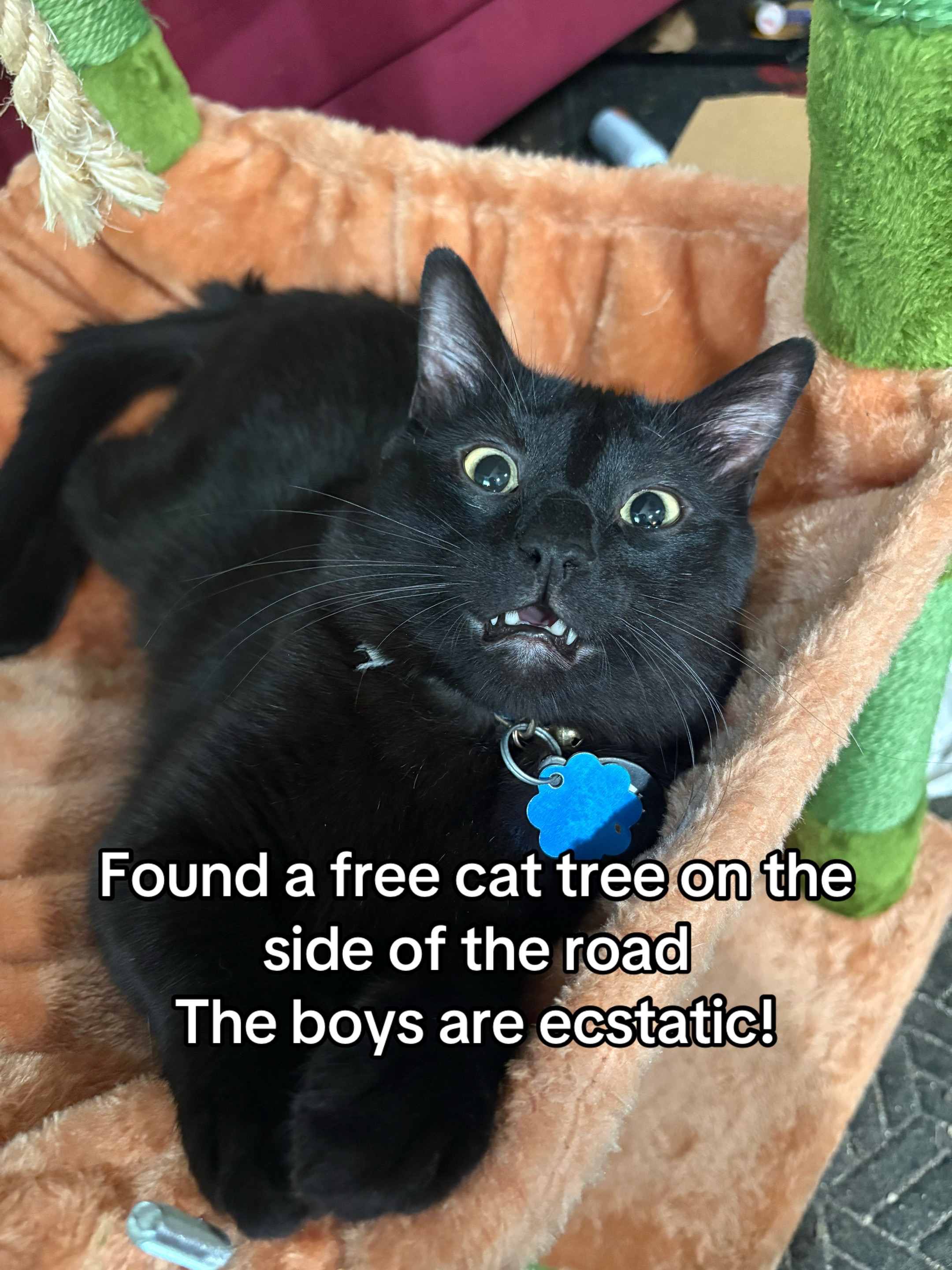 @scumgoblin