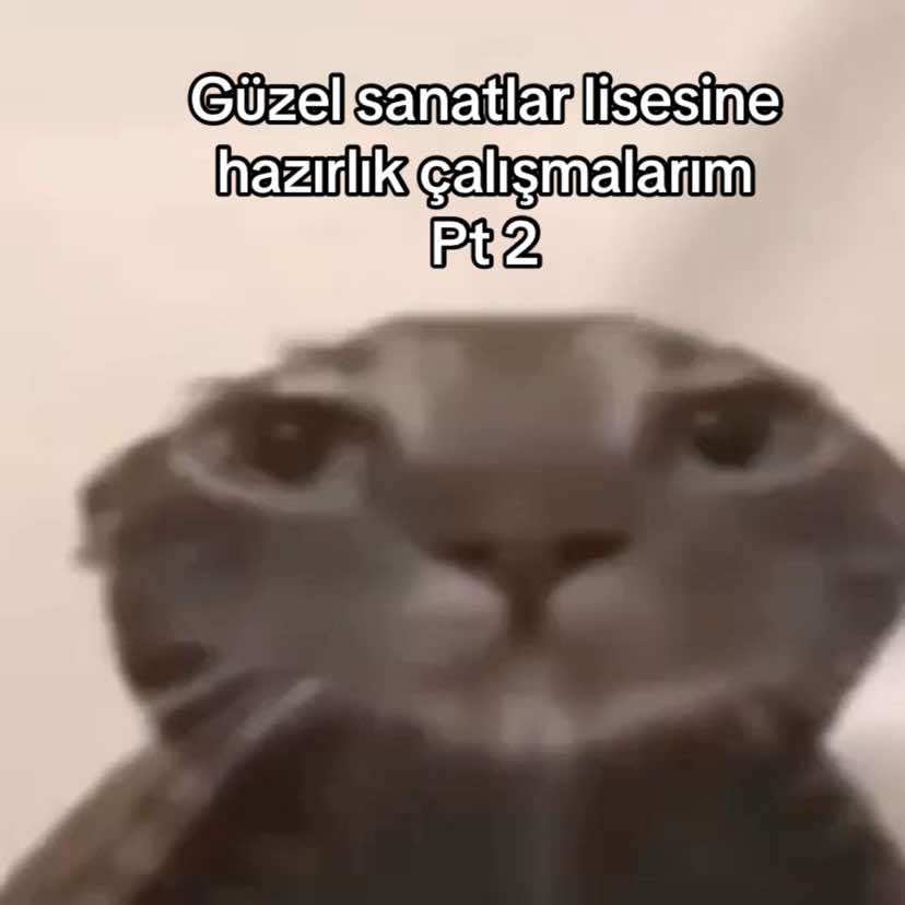 @Anelya