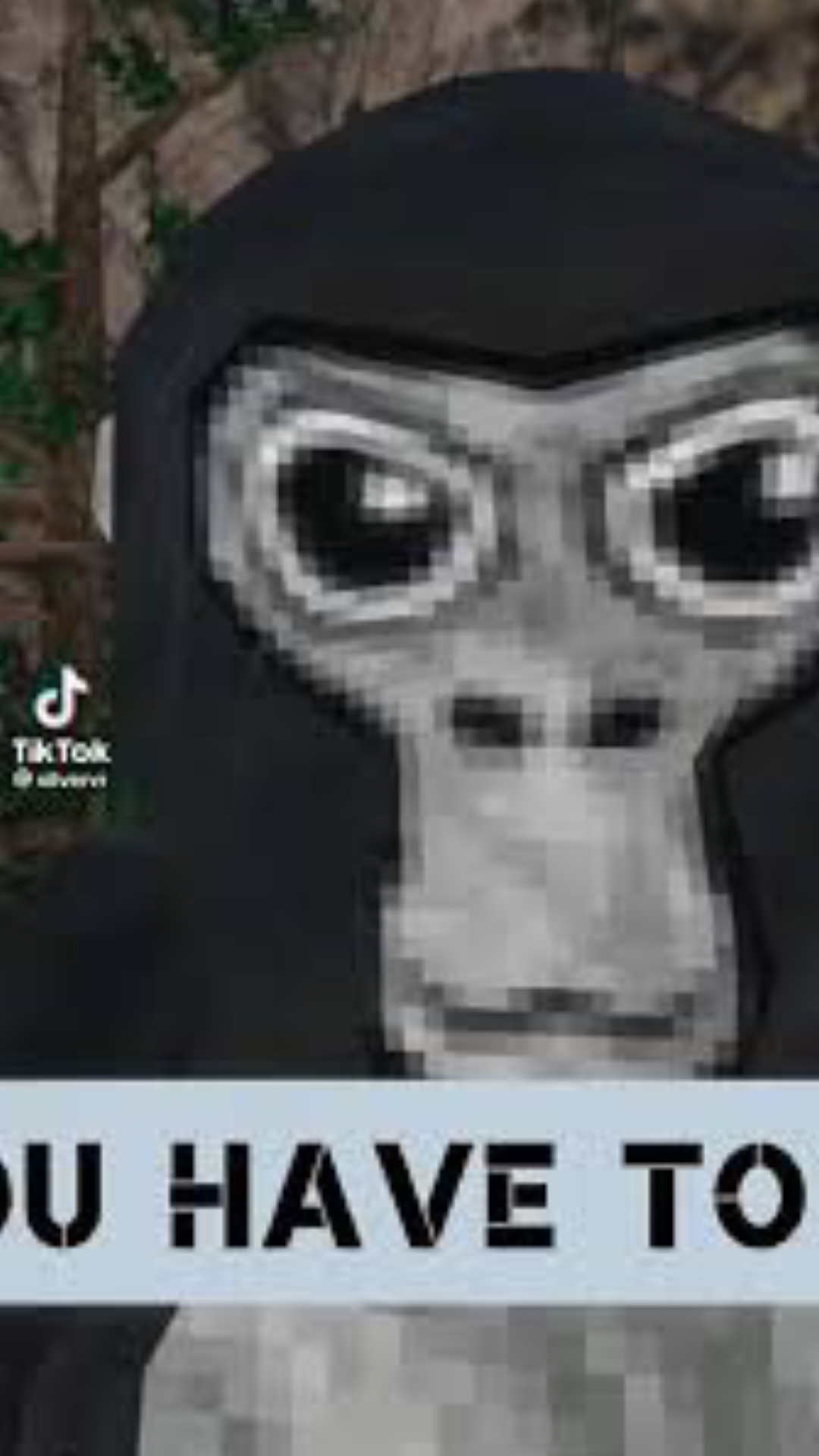 @Exotic.._Vr