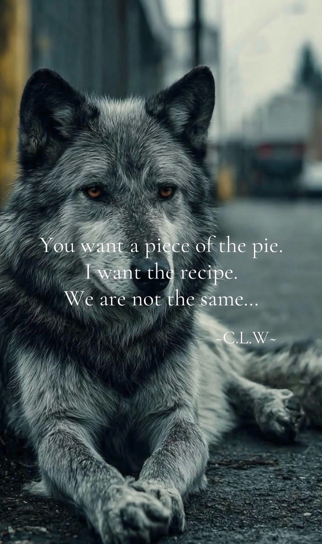 @🪬Conscious_LoneWolf🐺