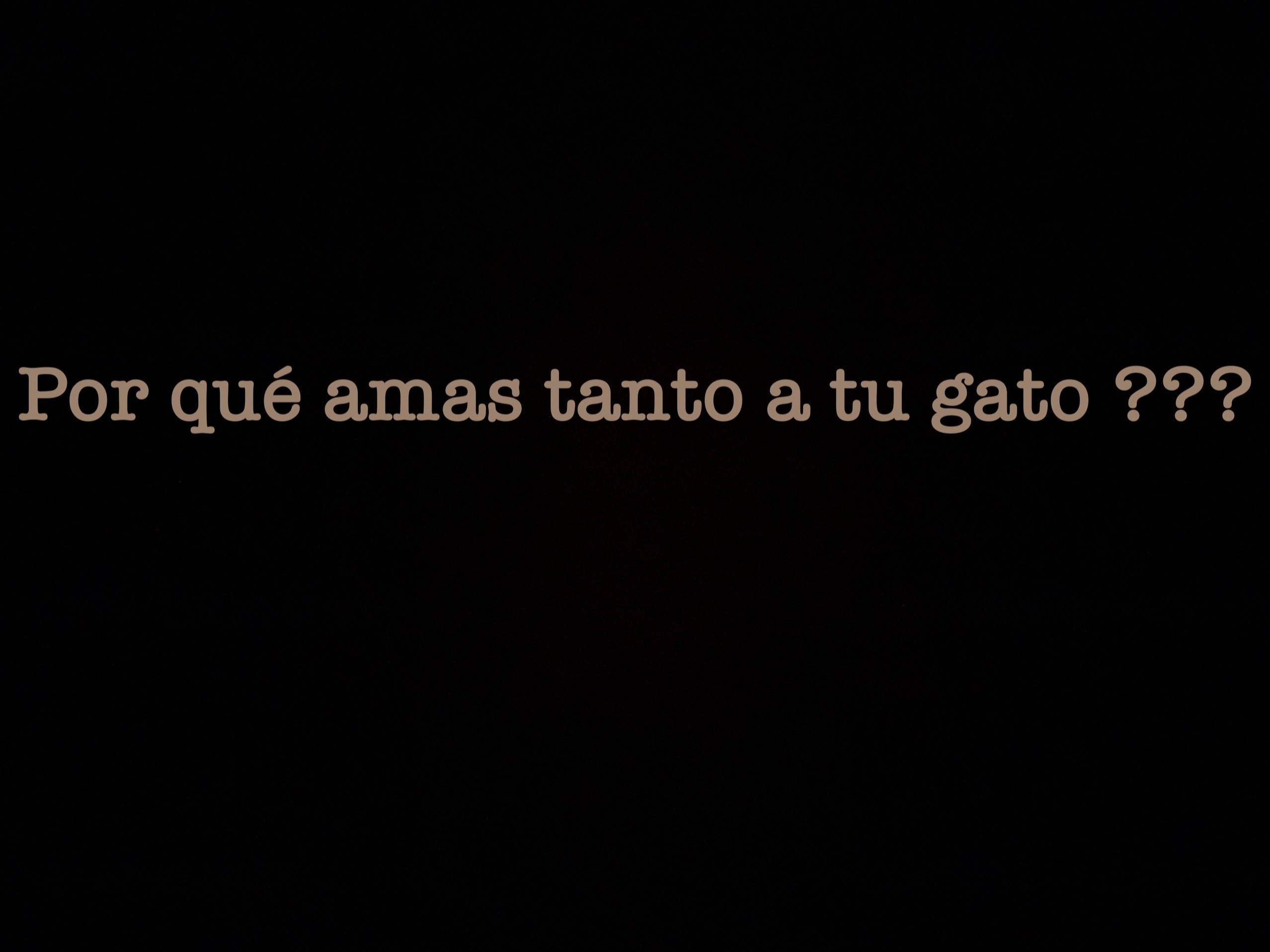@Johanna โจ