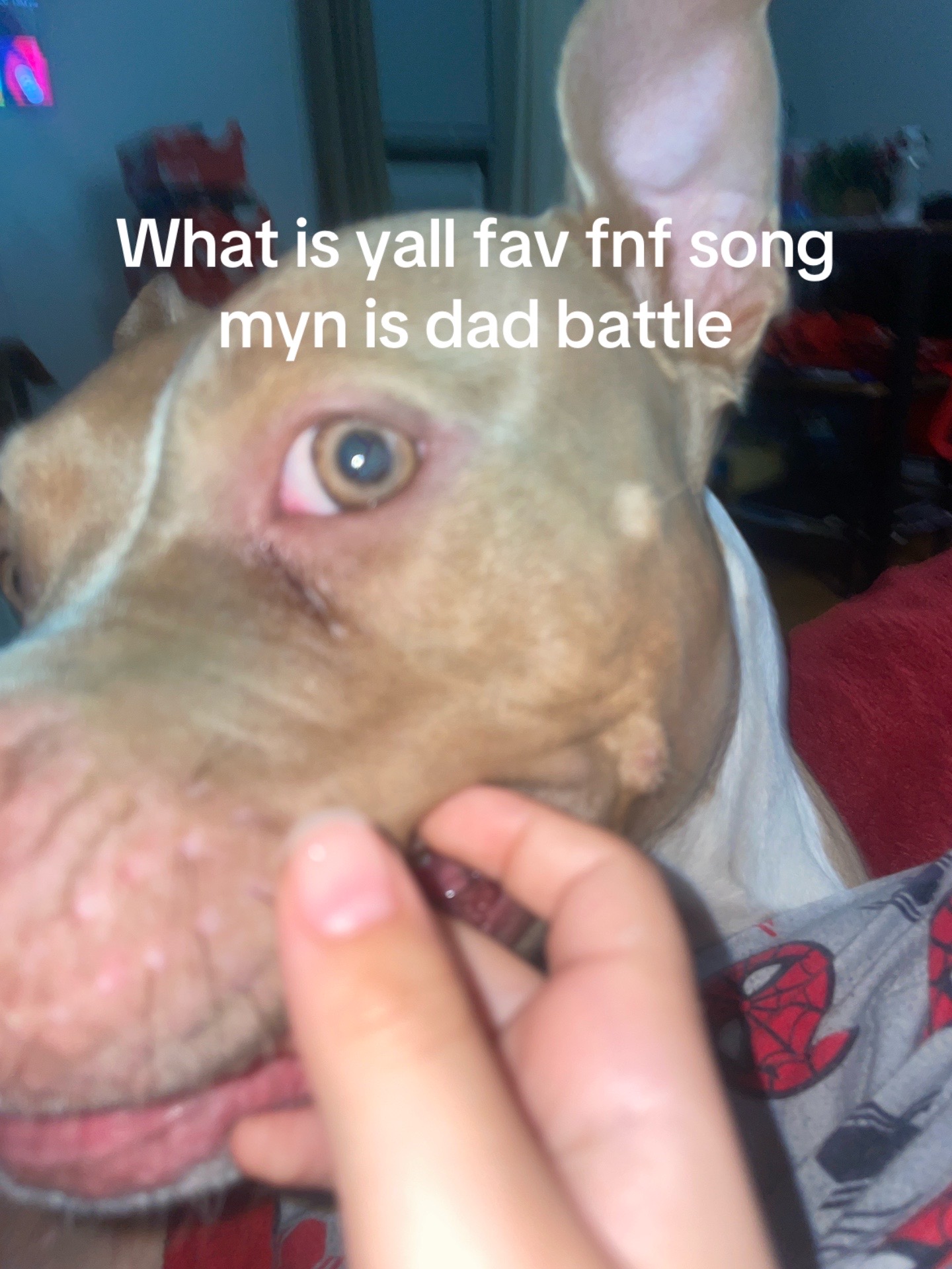 @:/