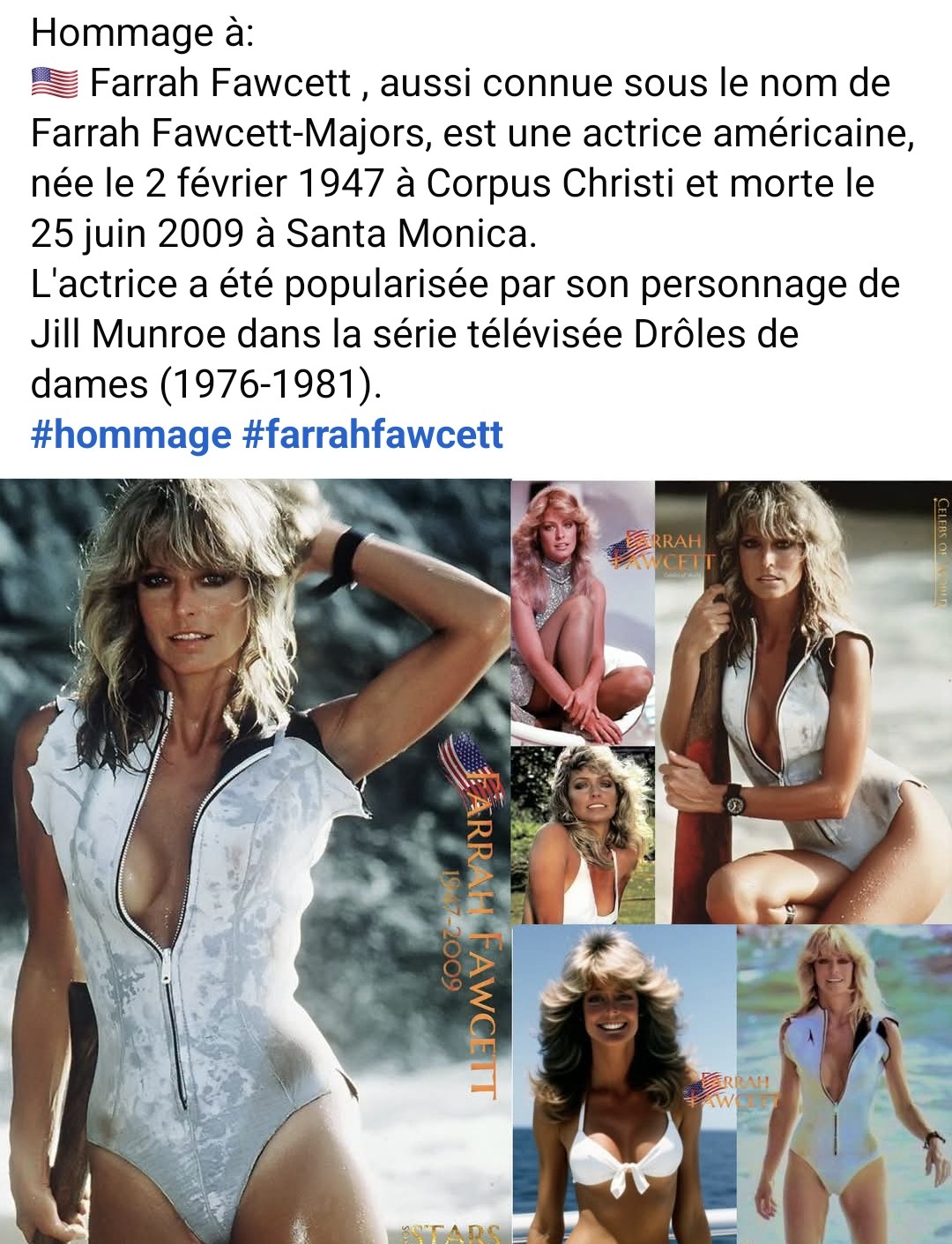 @chatouille352