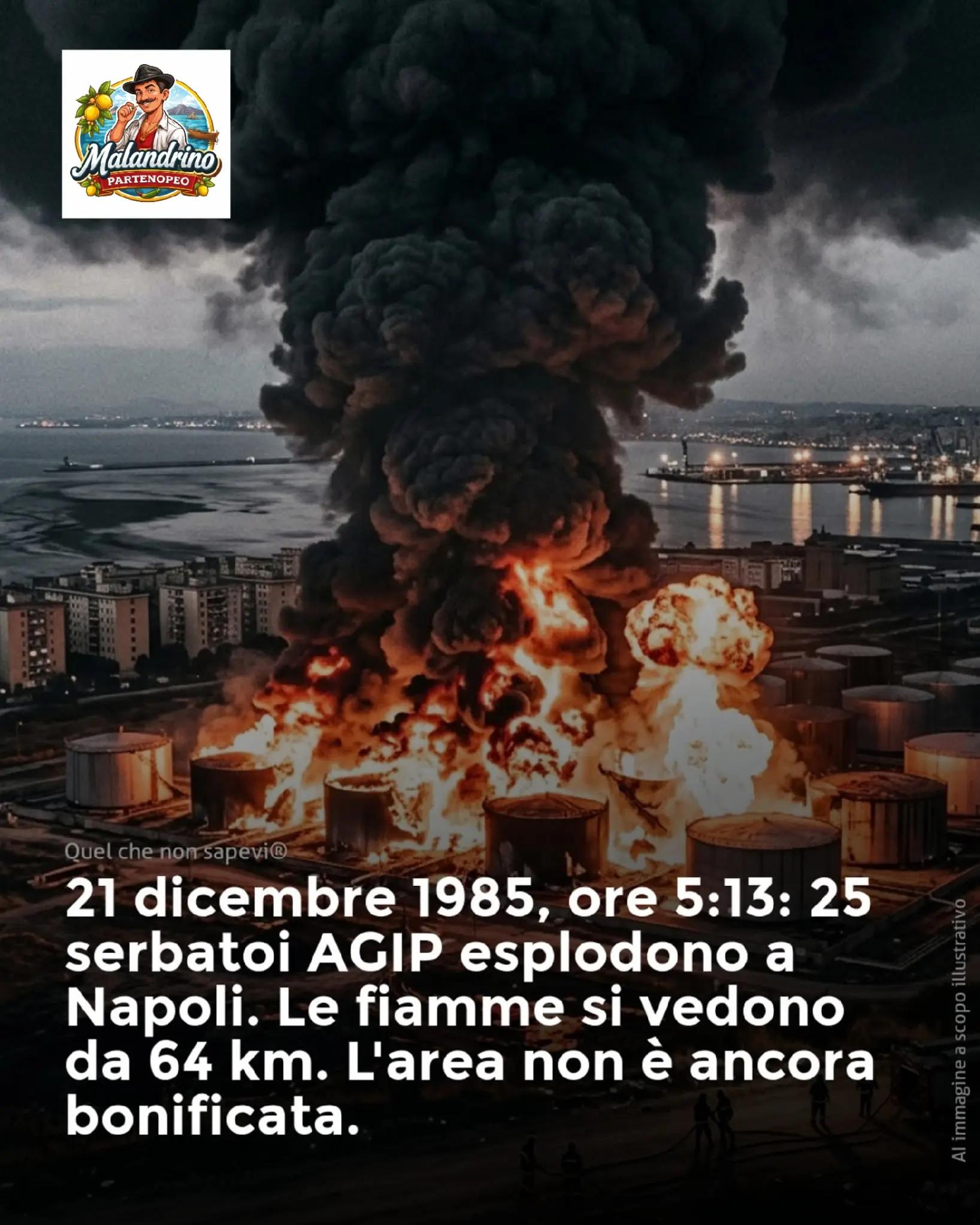 @MALANDRINO