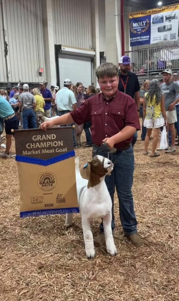 @Matt Lautner Cattle USA