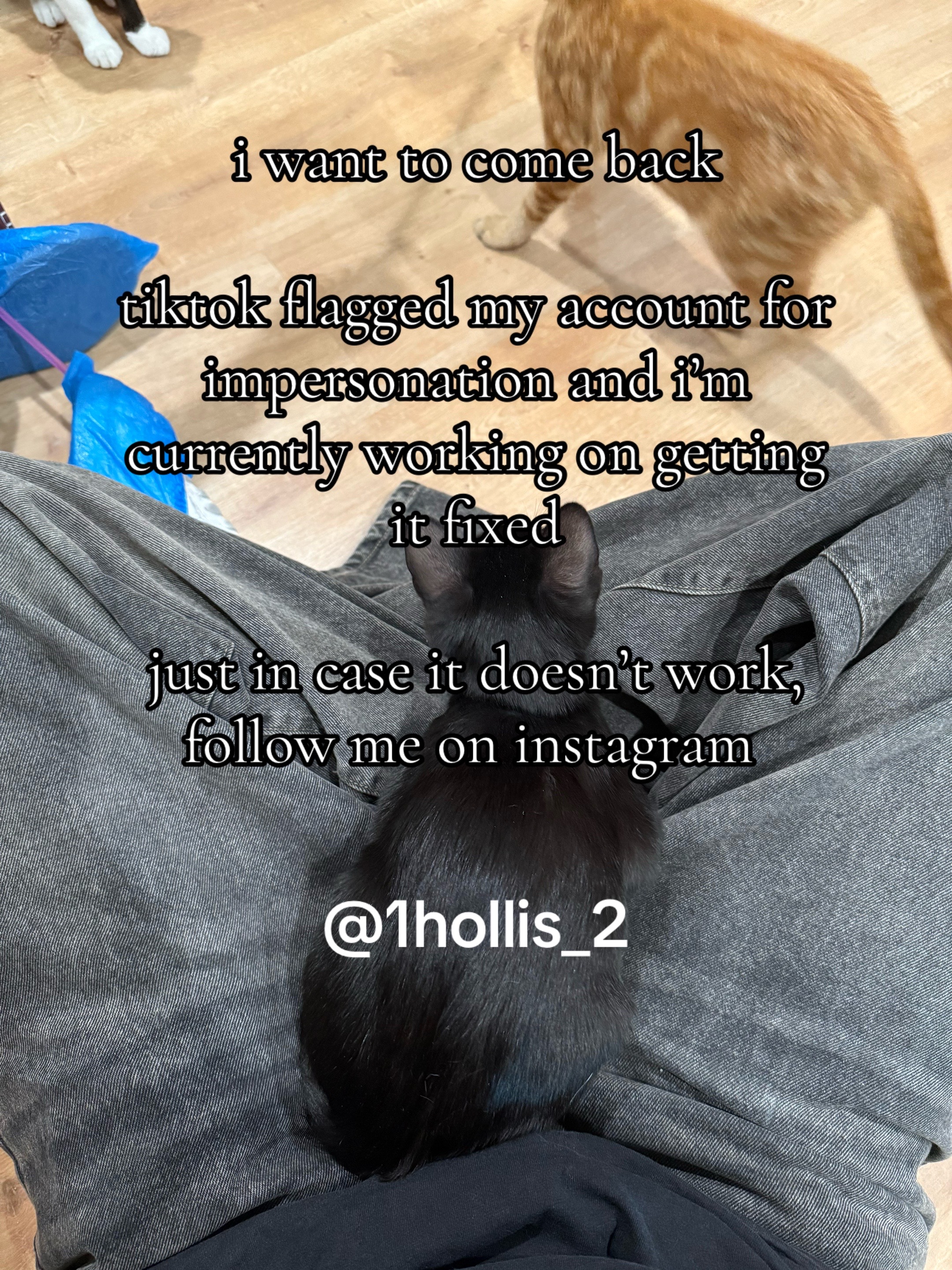 @1hollis