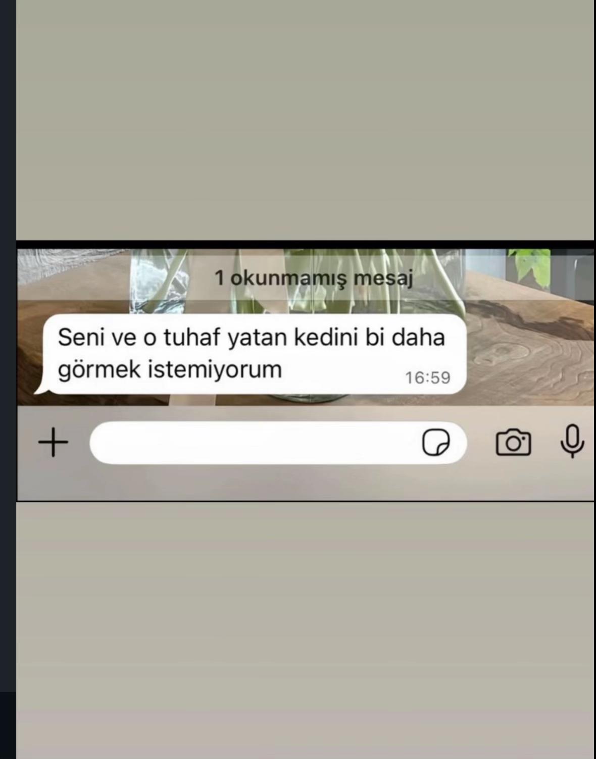 @Açılay Ayşe Gemici