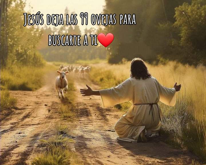 @elcirac11