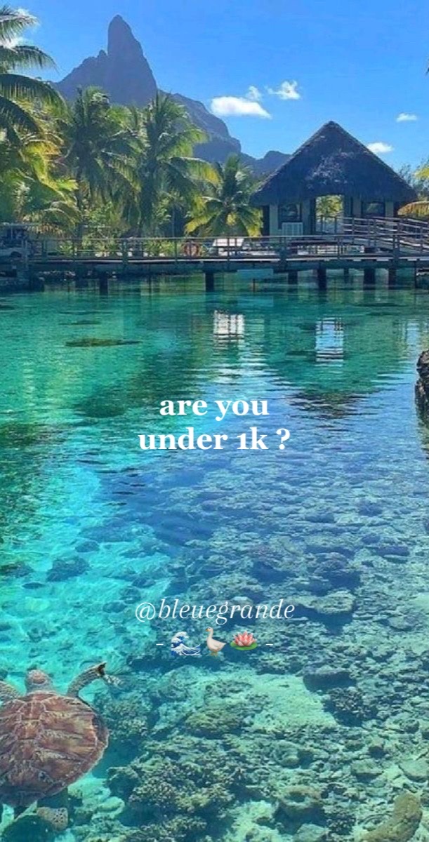@🫧🪽