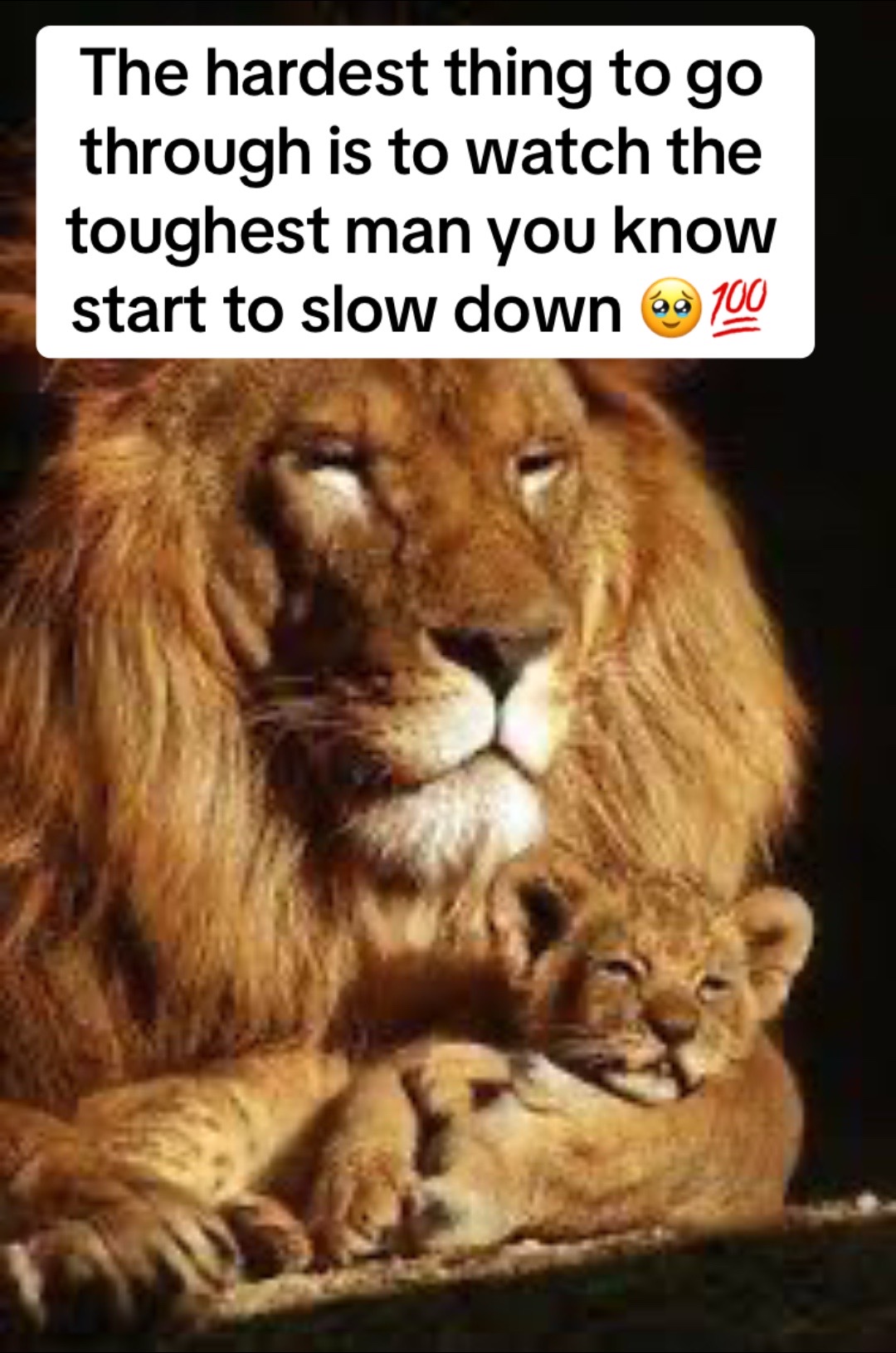 @Lion Heart