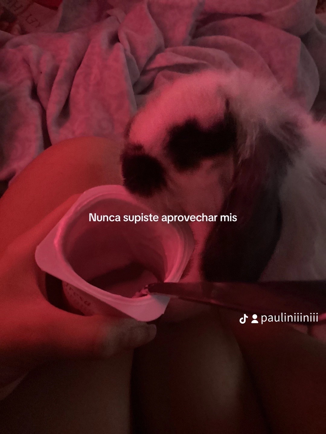 @🐰
