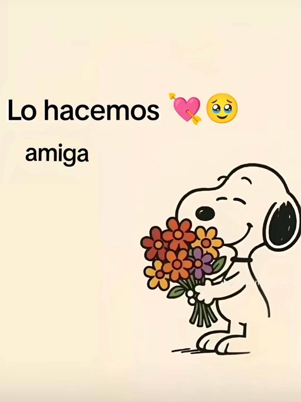 @✨Tu chiquita🌹✨
