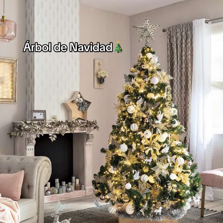 @Artaa❤️🩹🫶🏼