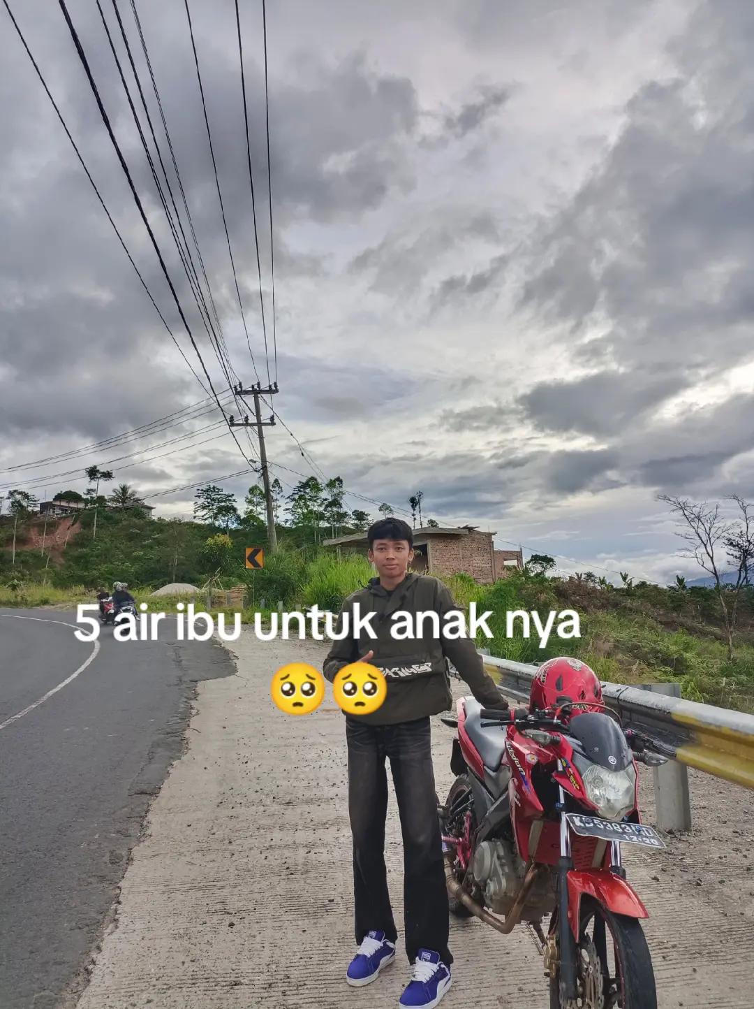 @A.afan🦖