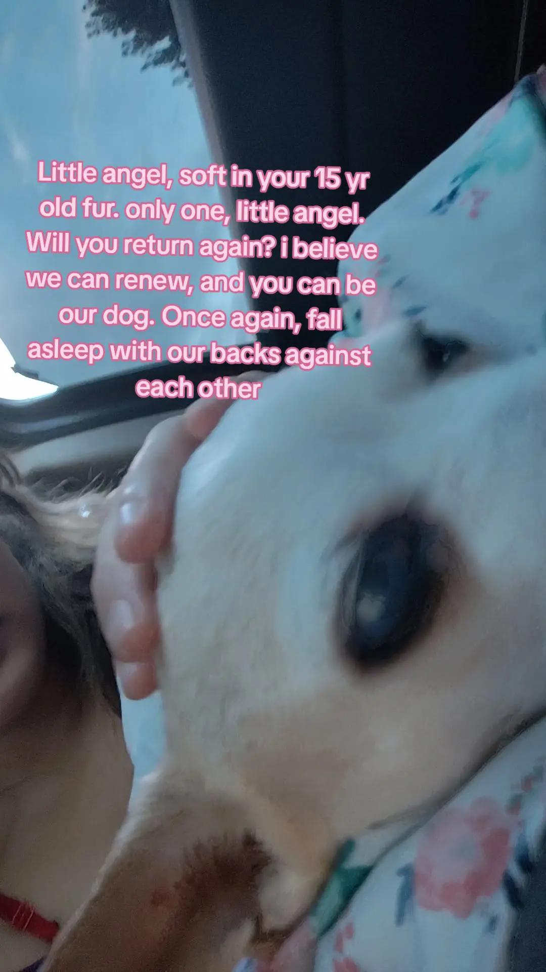 @𝓚𝓲𝓪𝓷𝓪𝓪🤍