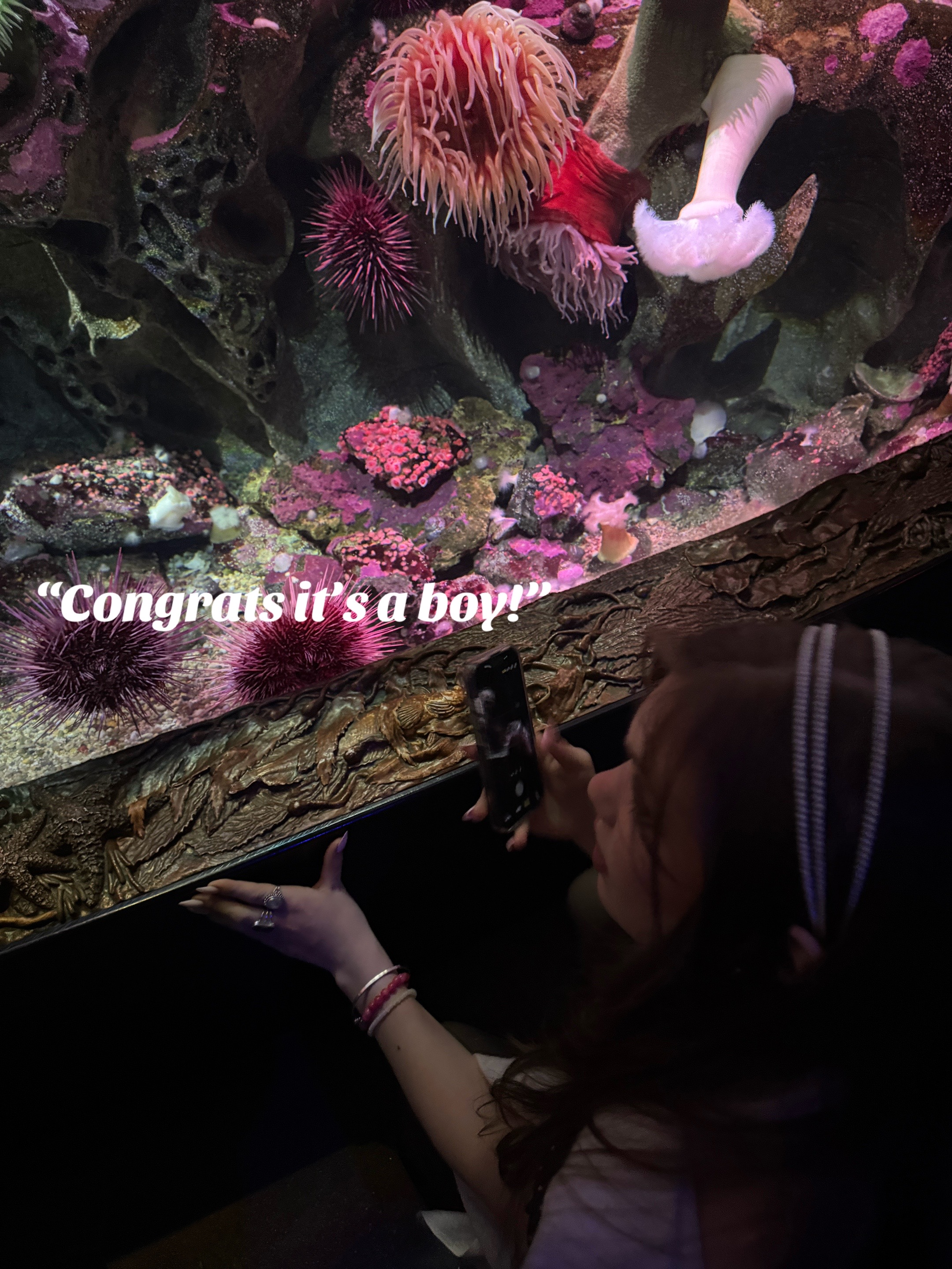 @Lily
