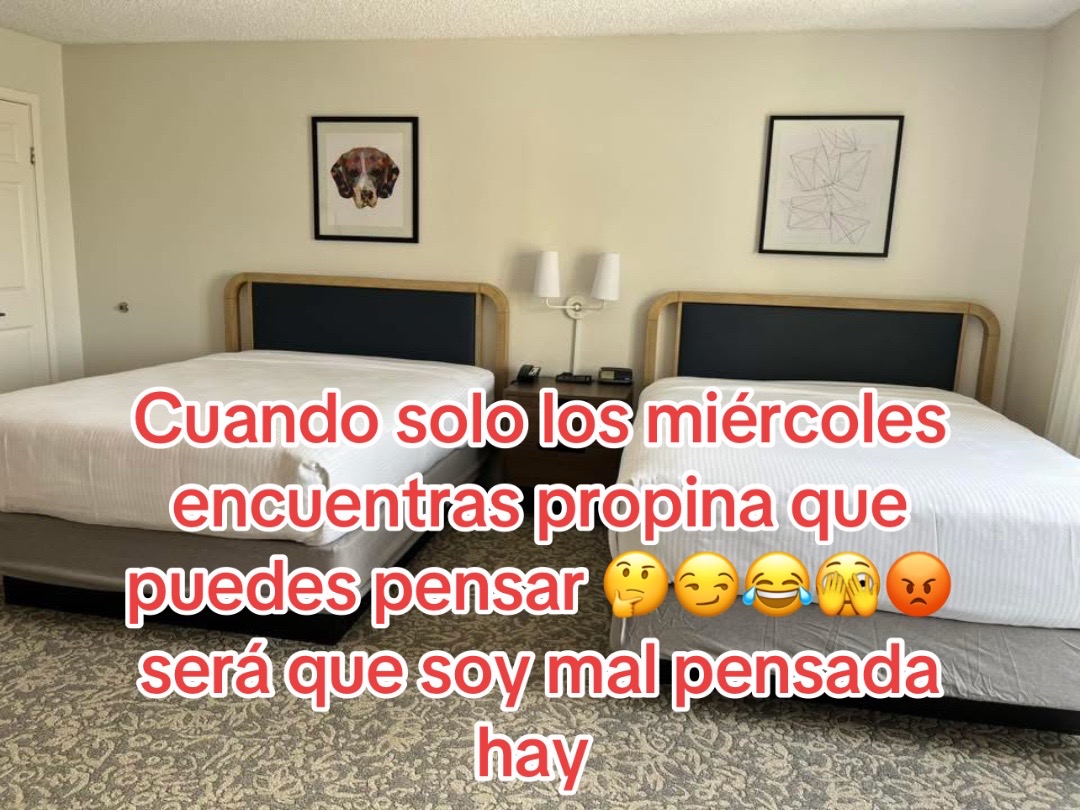 @alvarezyanet0