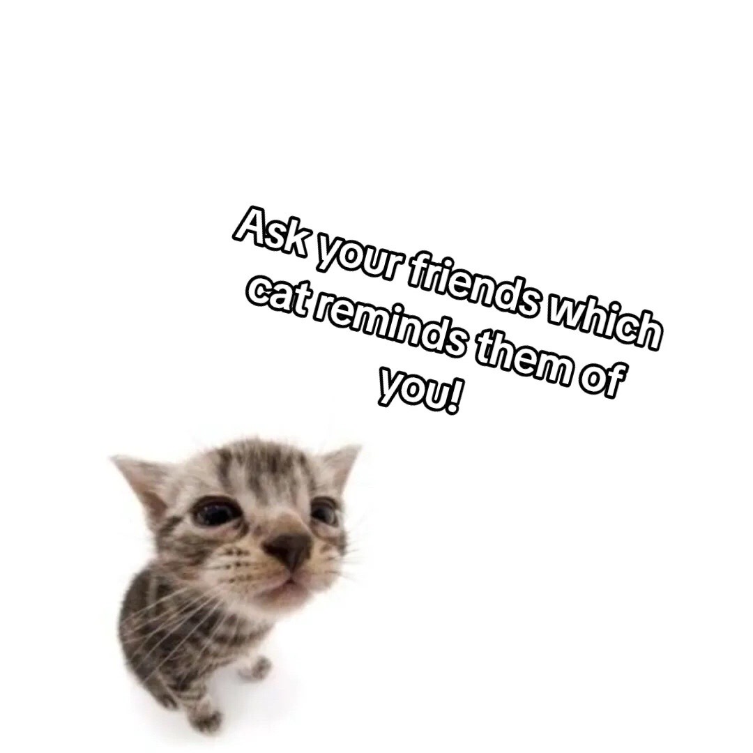 @doepetsupplies