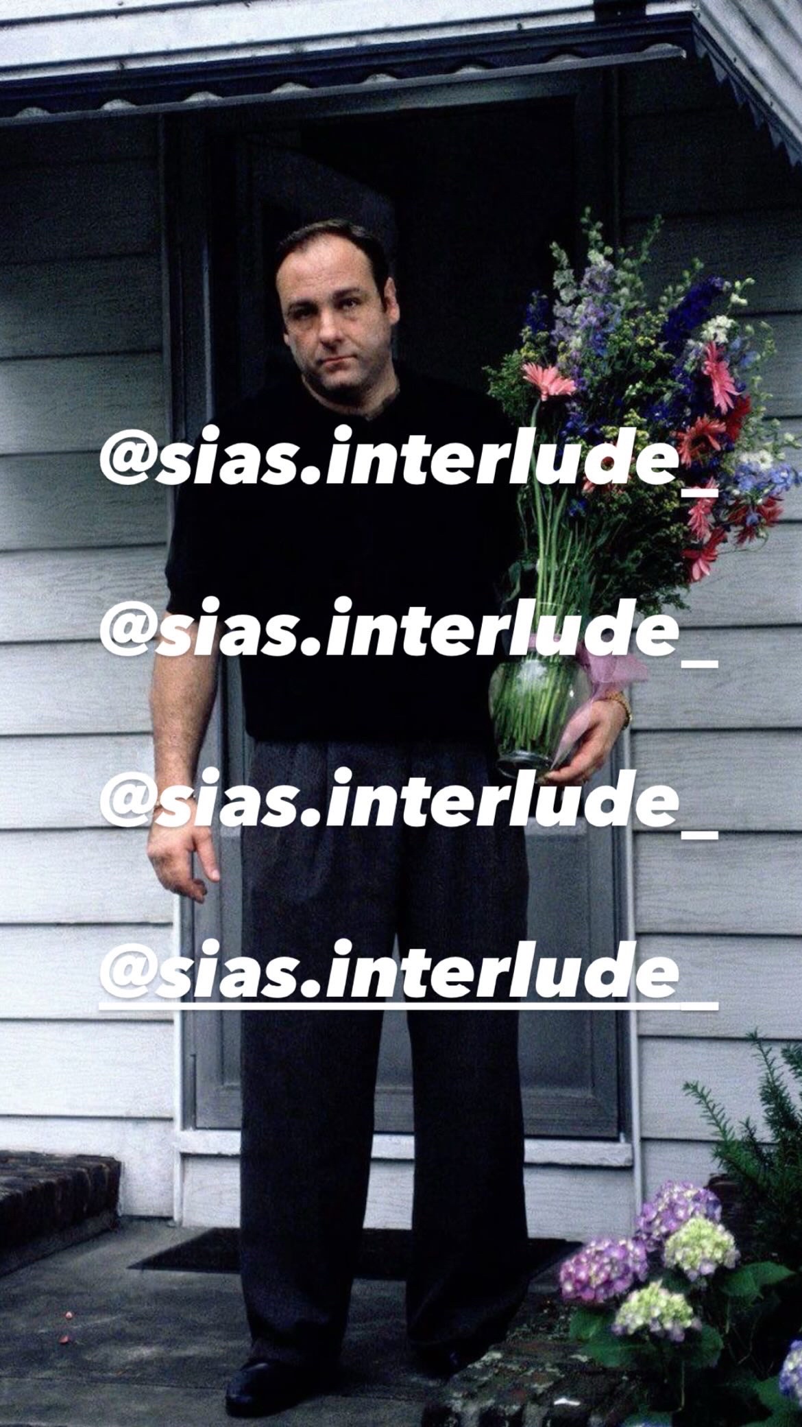 @Sia