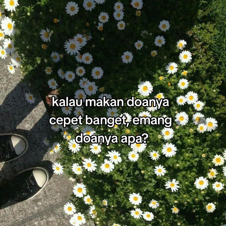 @Beltsazar✝