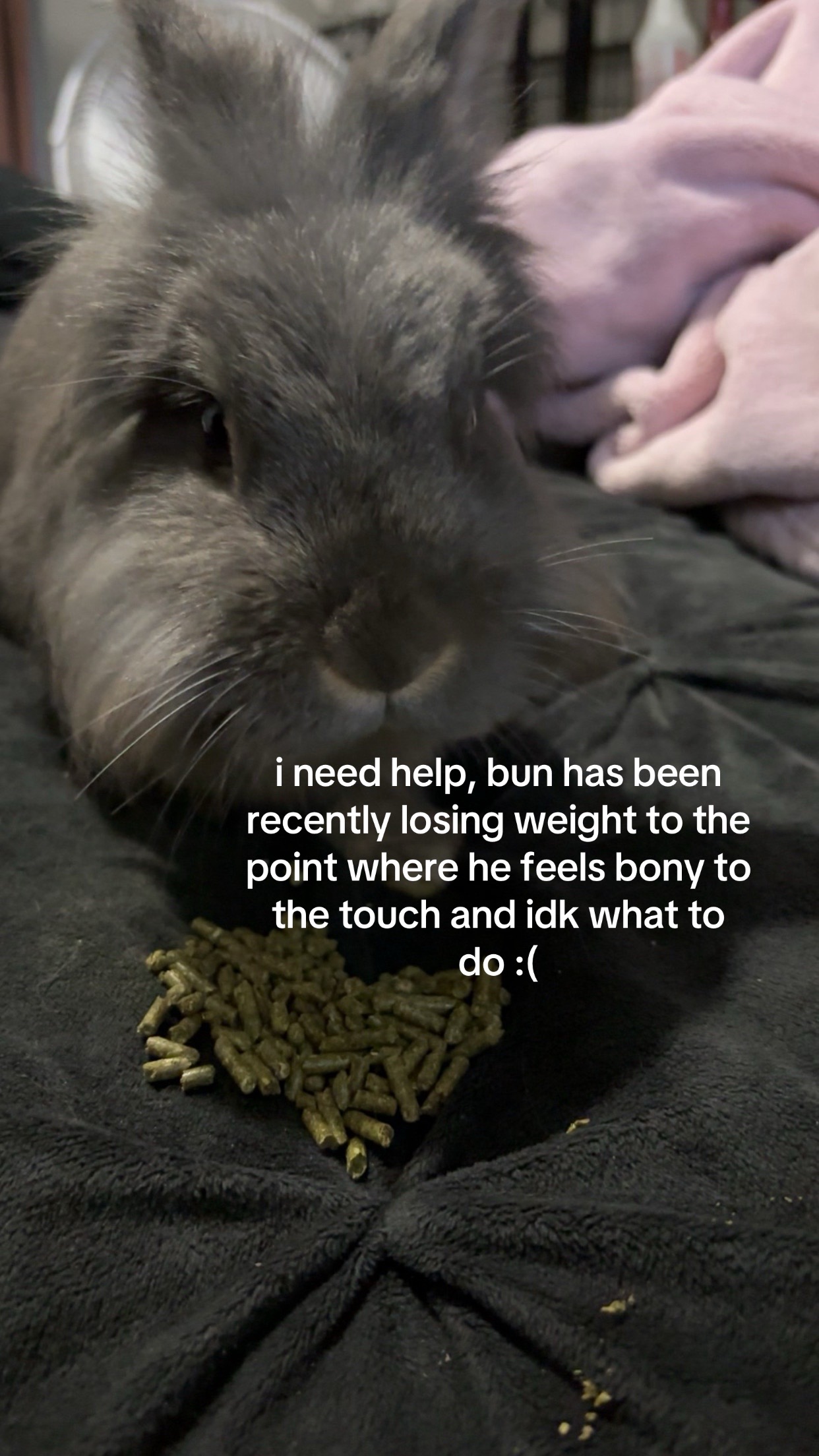 @bunbun & binky