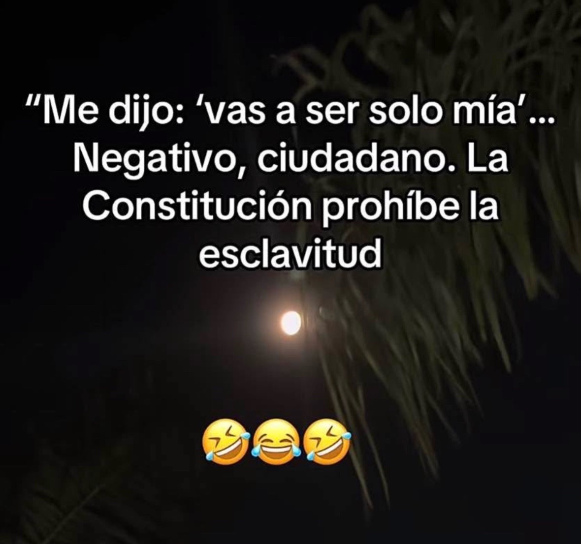 @Cecy🤓🐸🤘
