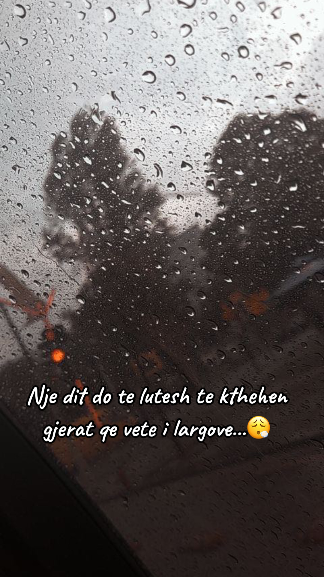 @Syt e tu i kom bo tatoo🥺🤍