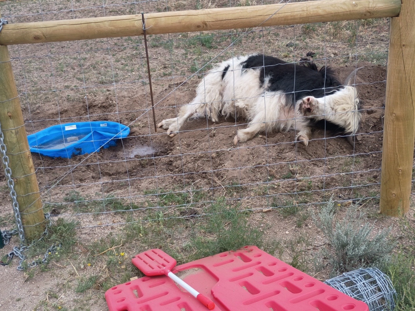 @Yakety Yak Ranch