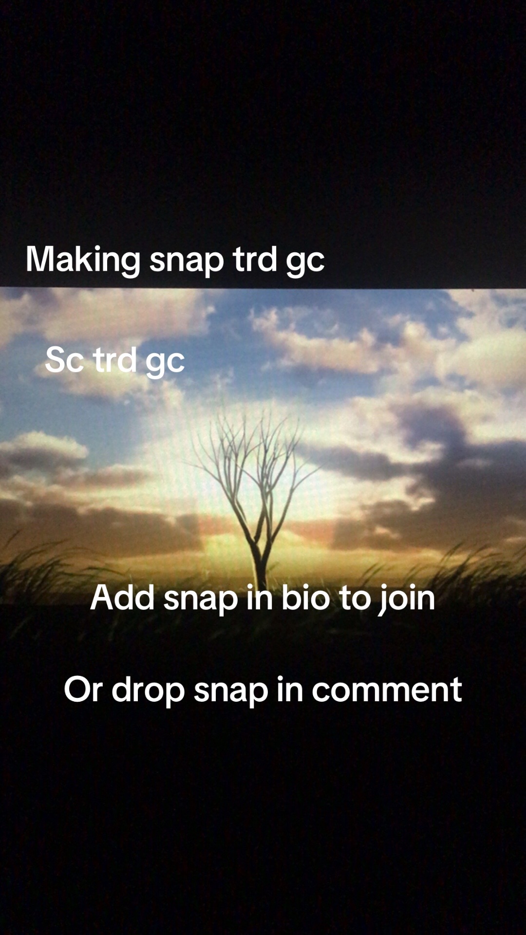 @Bigdbored42069