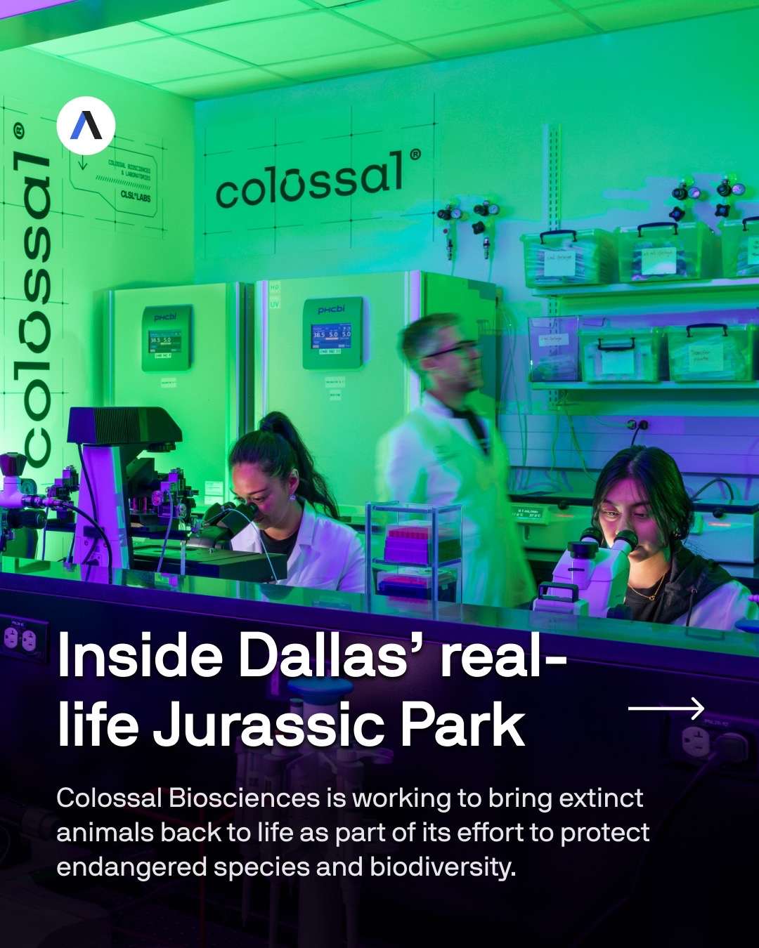 @Axios Dallas