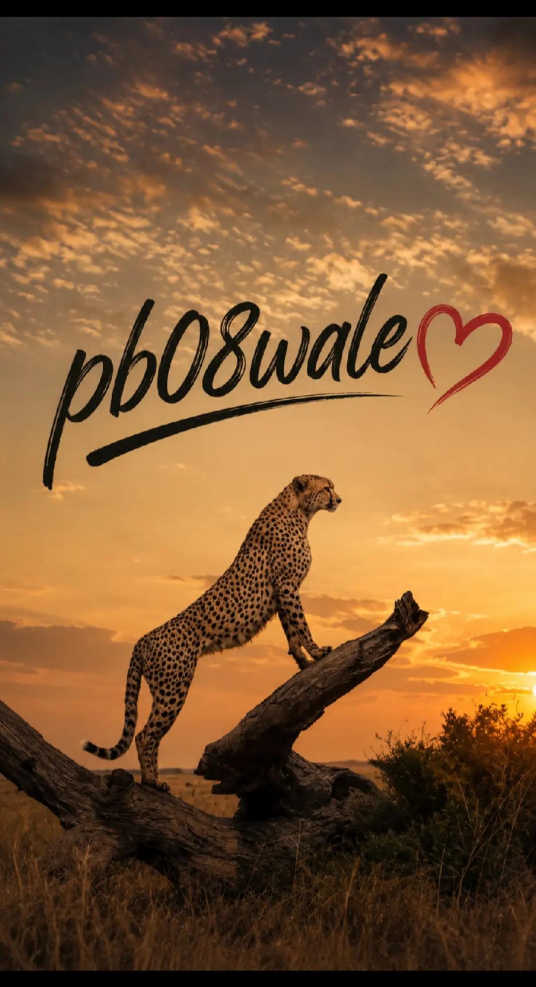 @Nijjar_PB08❤️