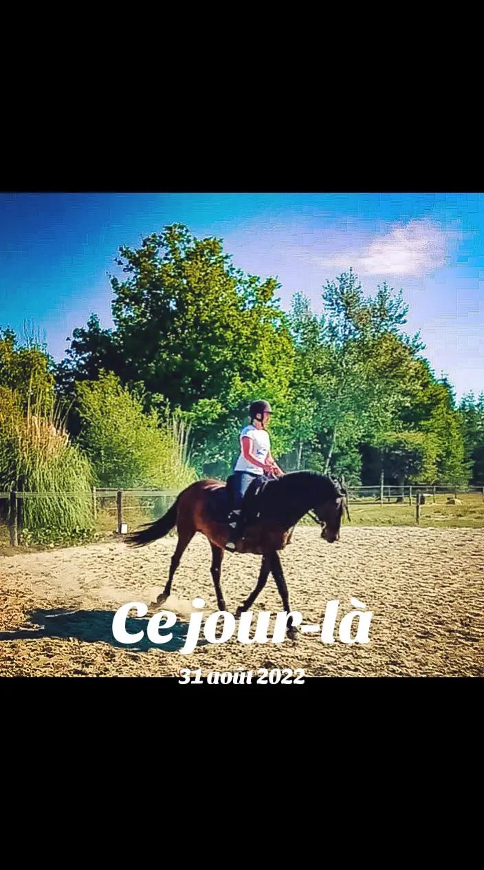 @Transcend'Horse 🐴 Luna'Cat 🐱