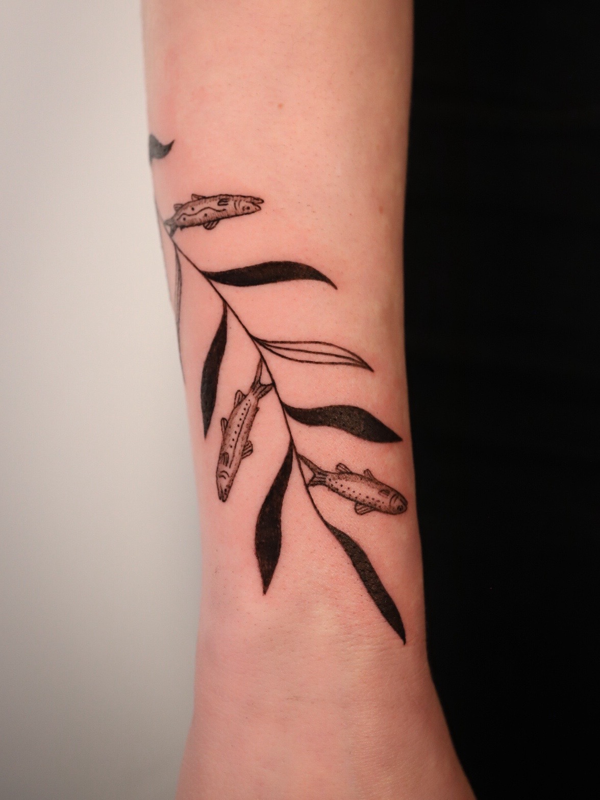 @Lucid Studios Tattoo