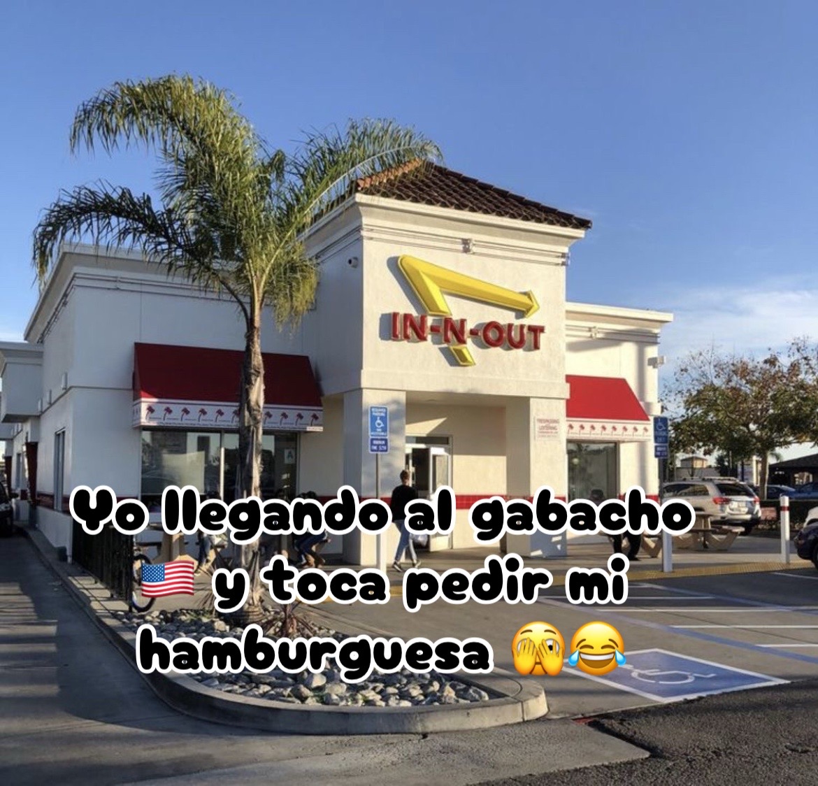 @🌸🌻K🌸A🌻 R🌻 L🌸A🌻🌸
