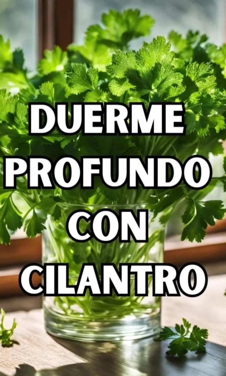 @todos se lo debo a Dios