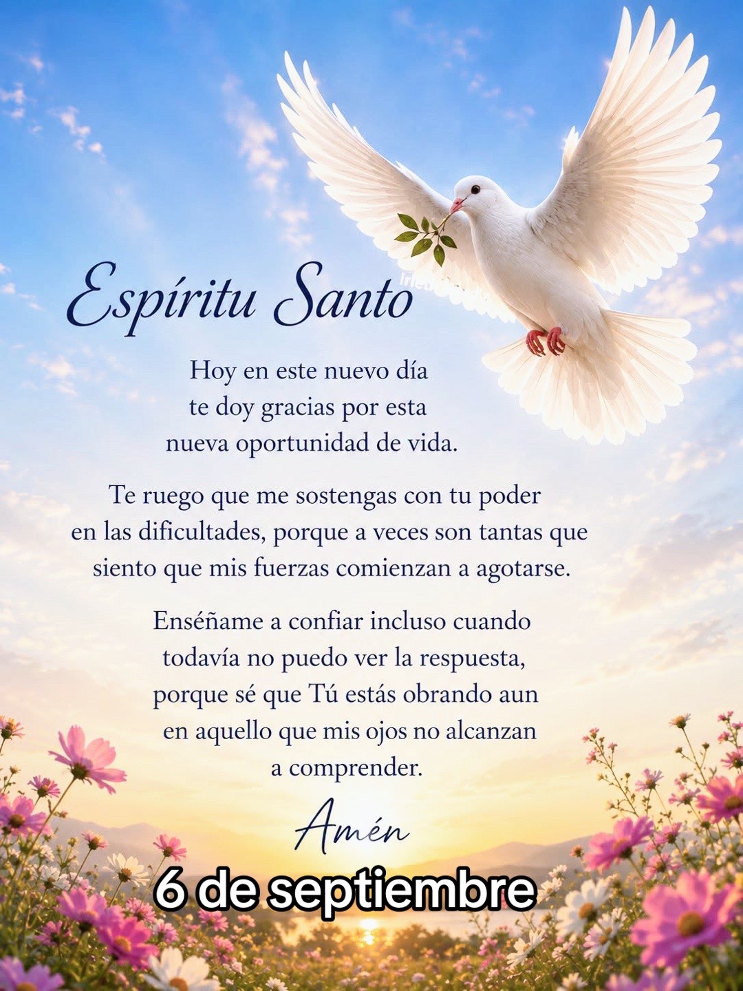 @8luisplaza8