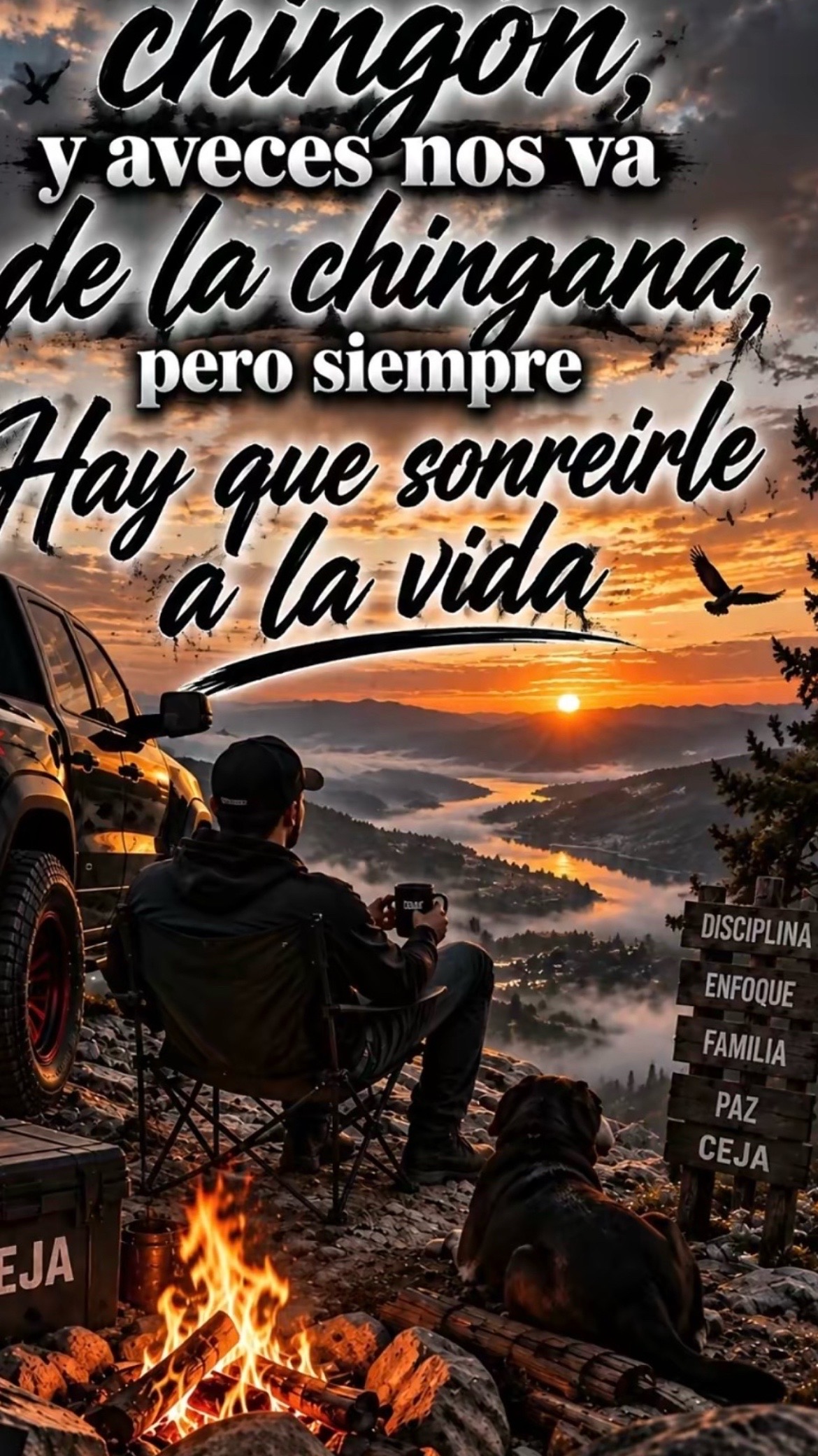 @Pedro Cruz