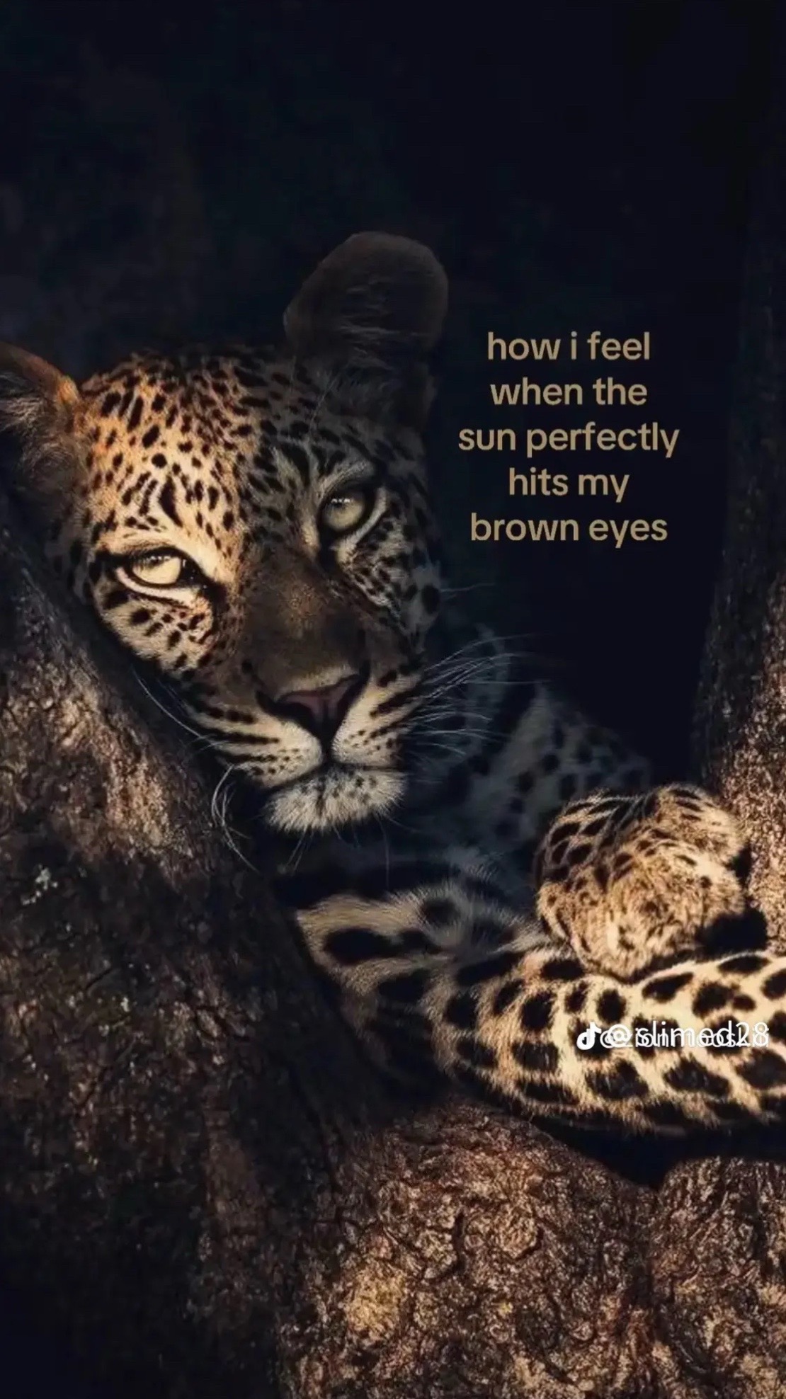 @Žąĩ💕🫀
