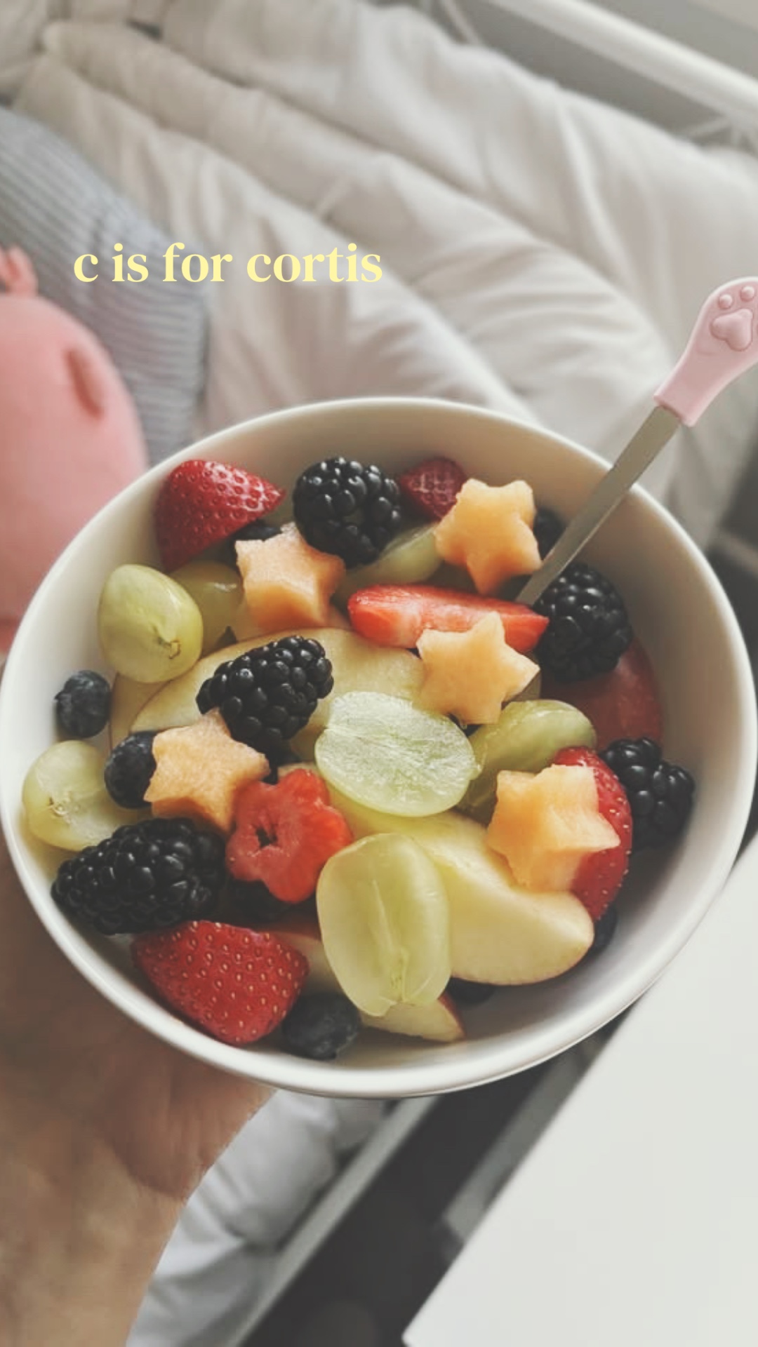 @secret.acc ᥫ᭡