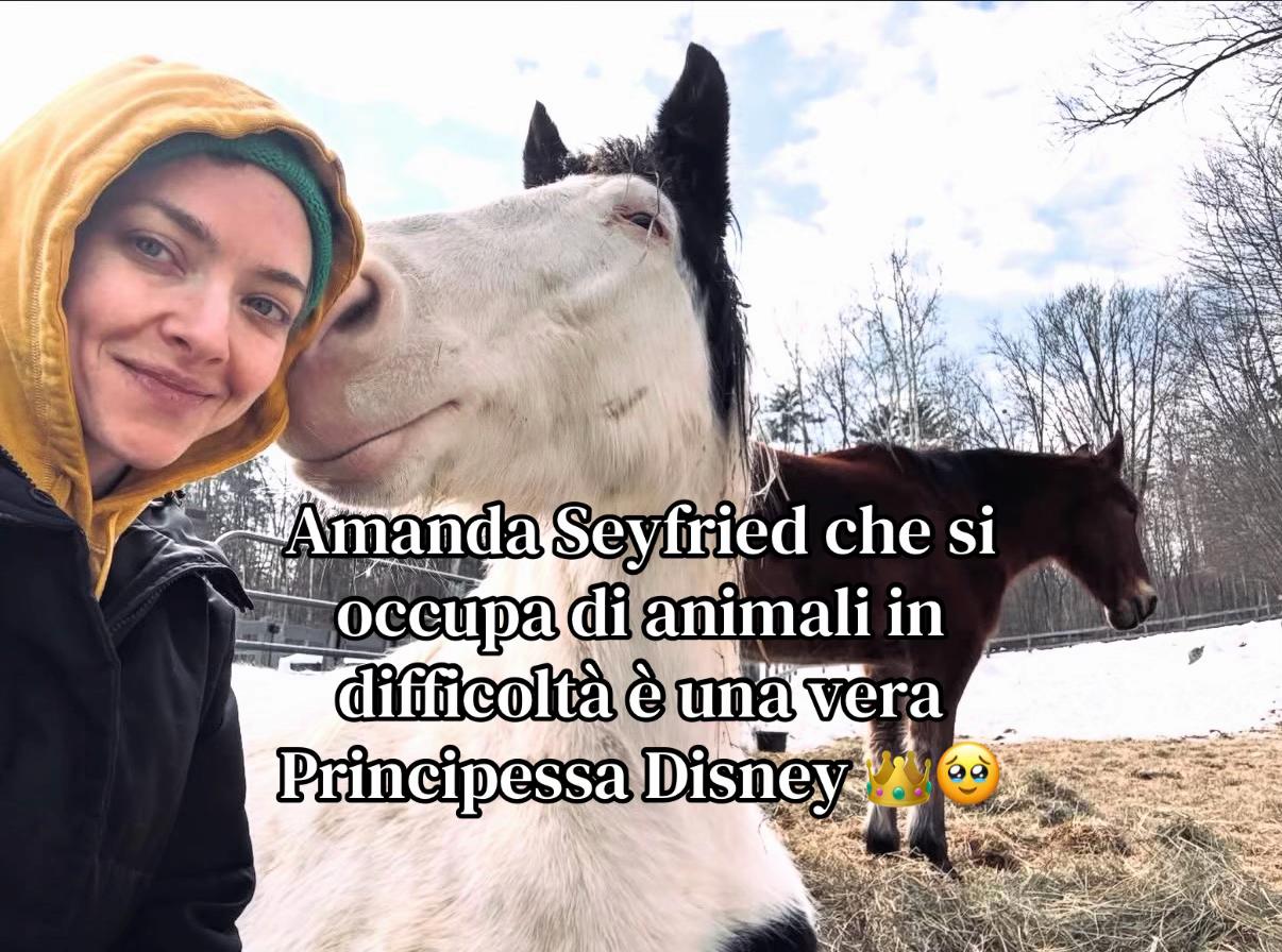 @Pulp_Ludo