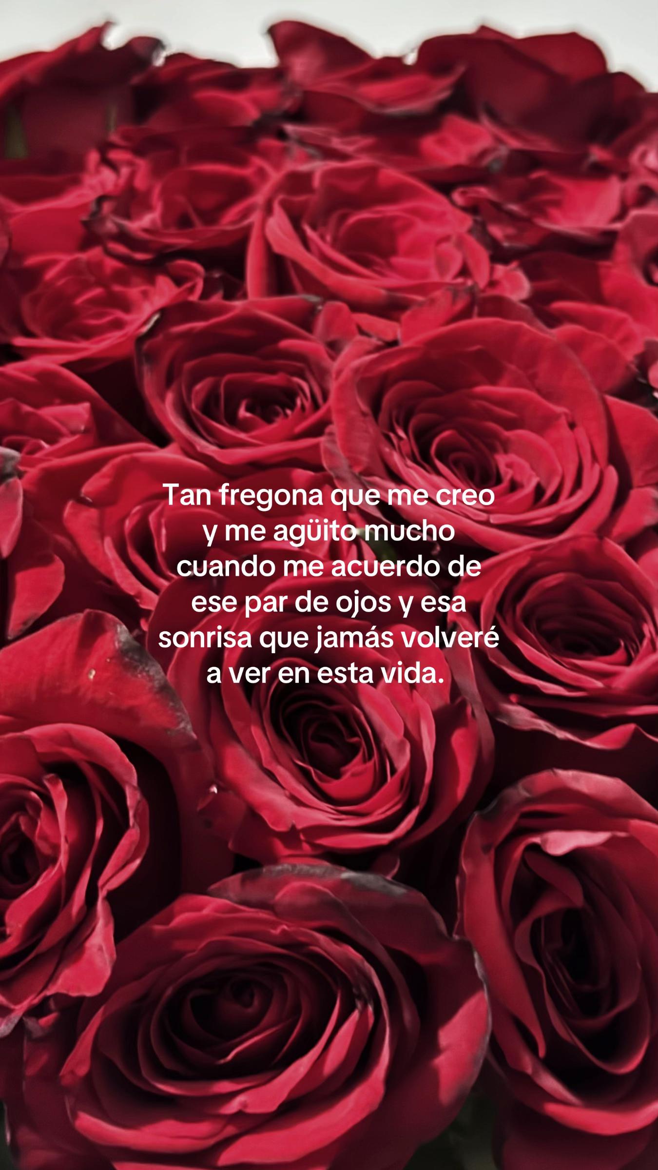 @irmitaaaaa