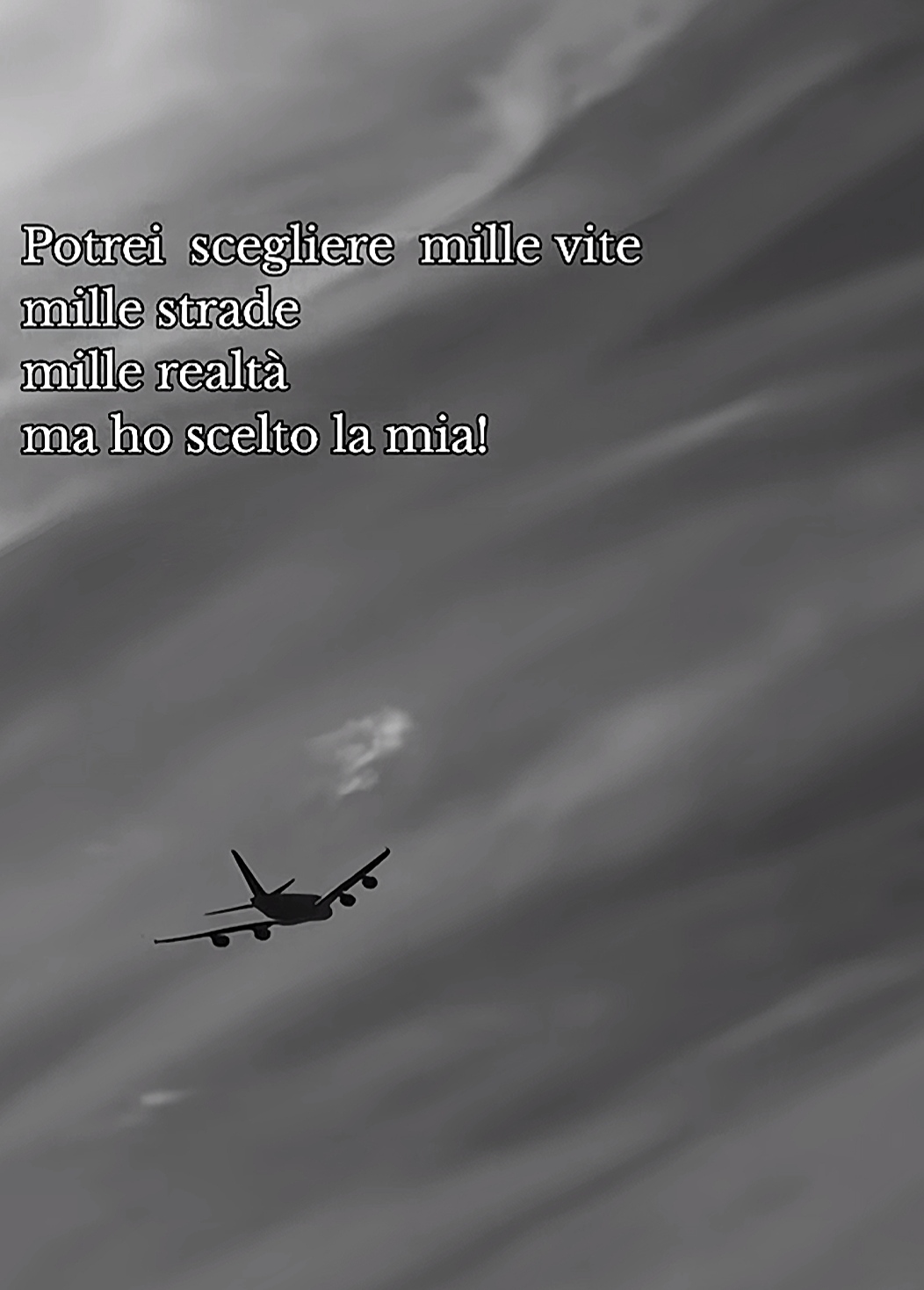 @lucia